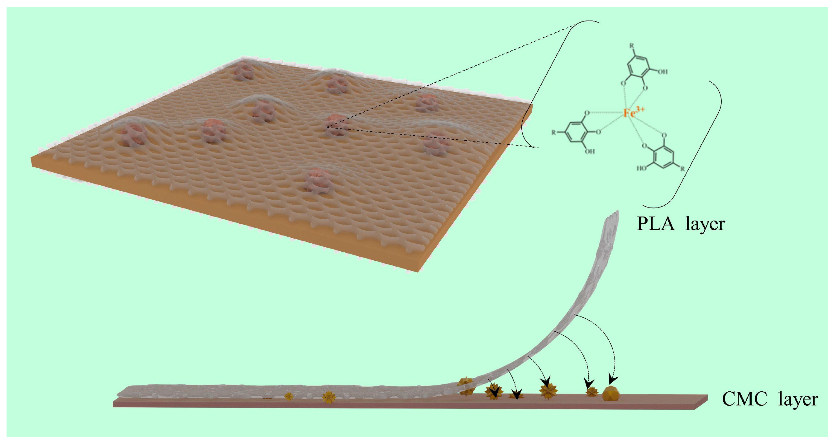 Molecules 29 02822 g007