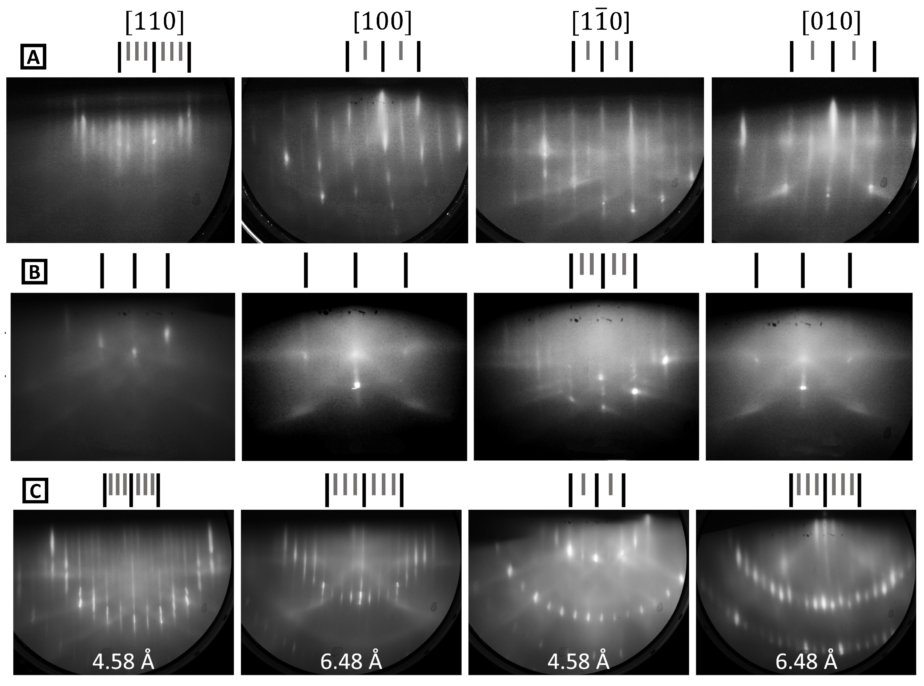 Molecules 29 02825 g003 Molecules 29 02825 g003
