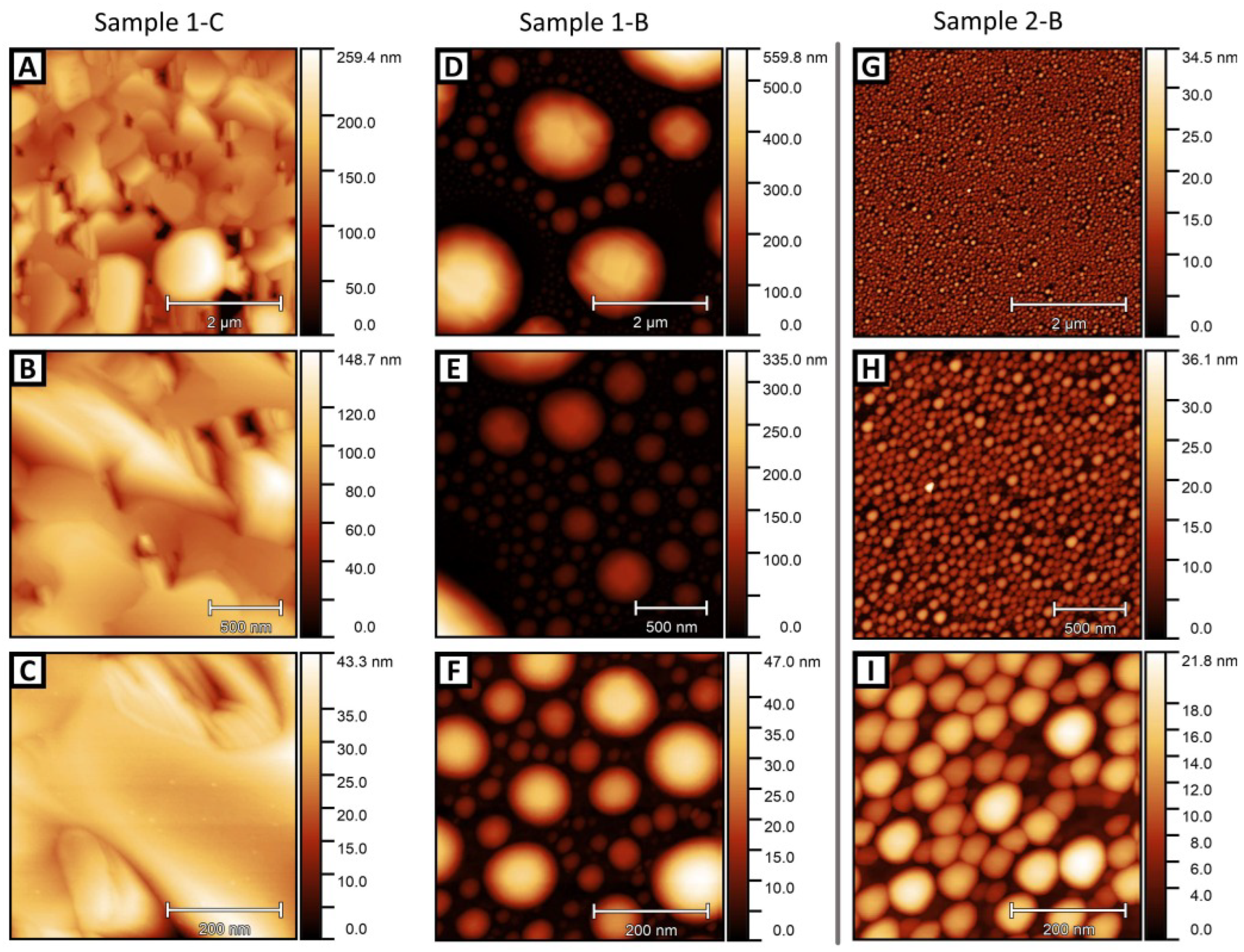 Molecules 29 02825 g008 Molecules 29 02825 g008