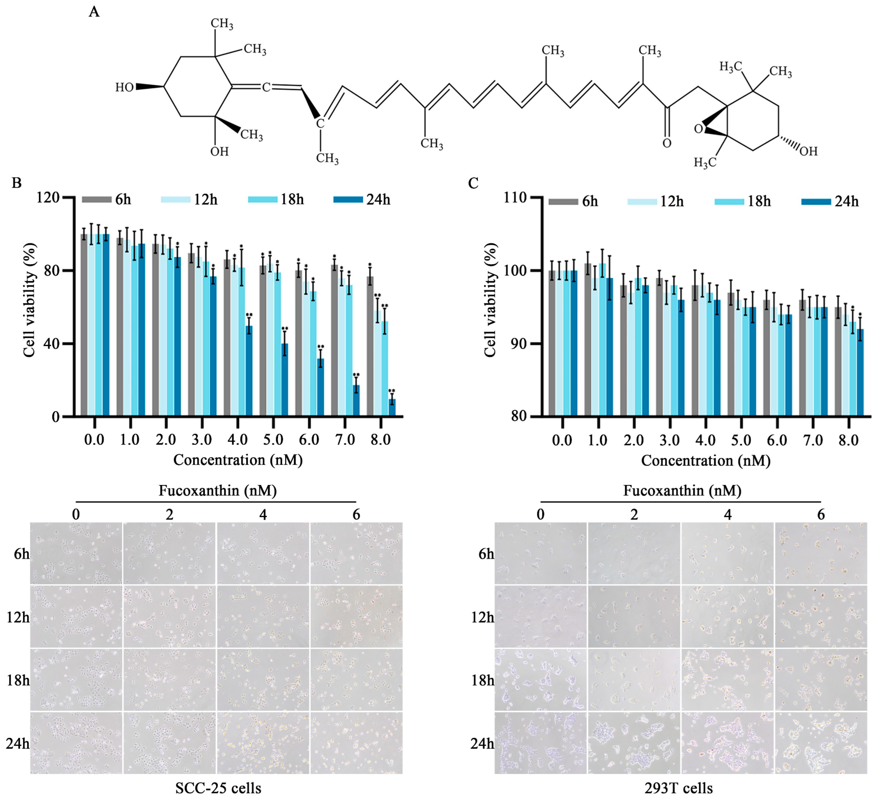 Molecules 29 02832 g001