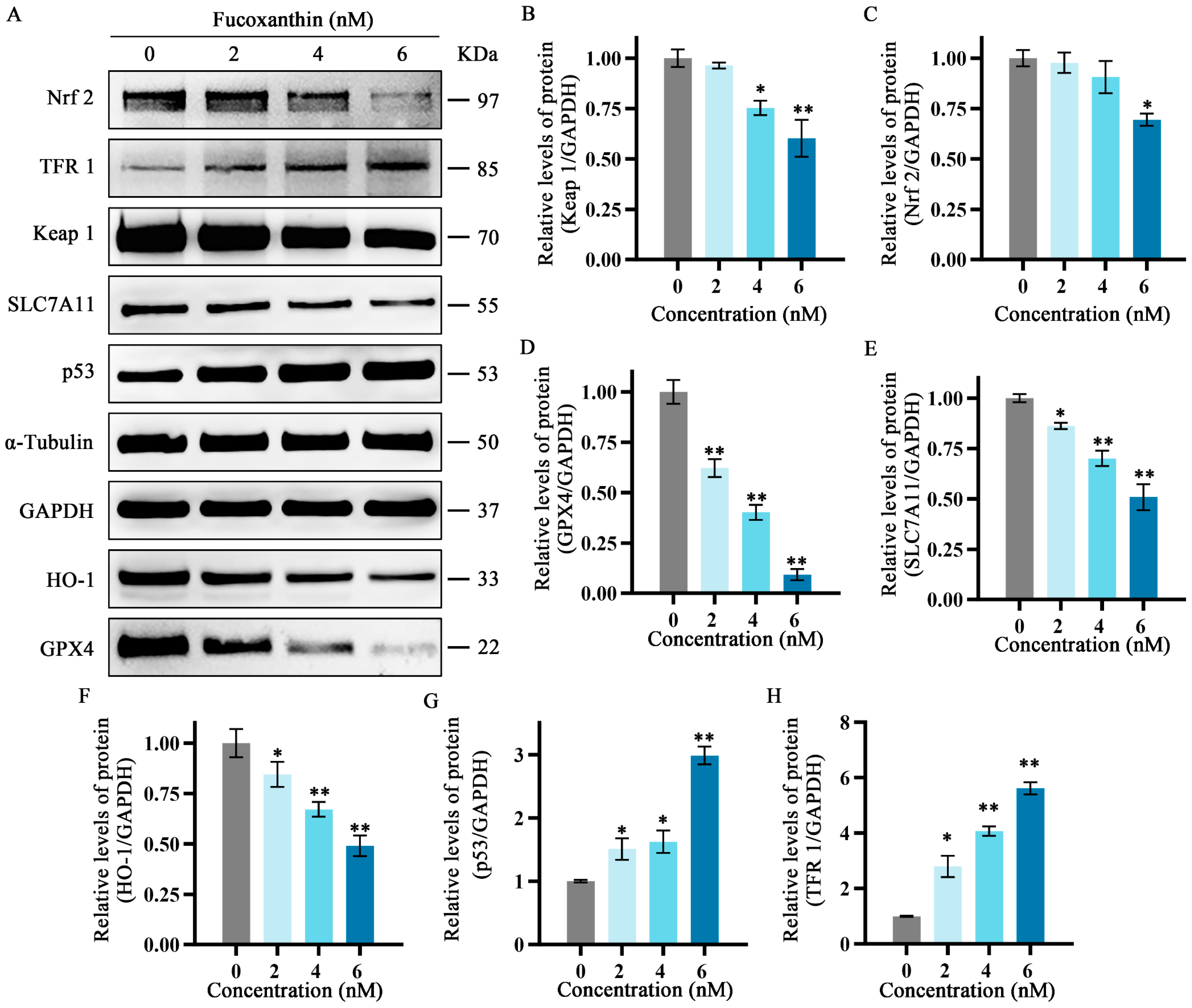 Molecules 29 02832 g007