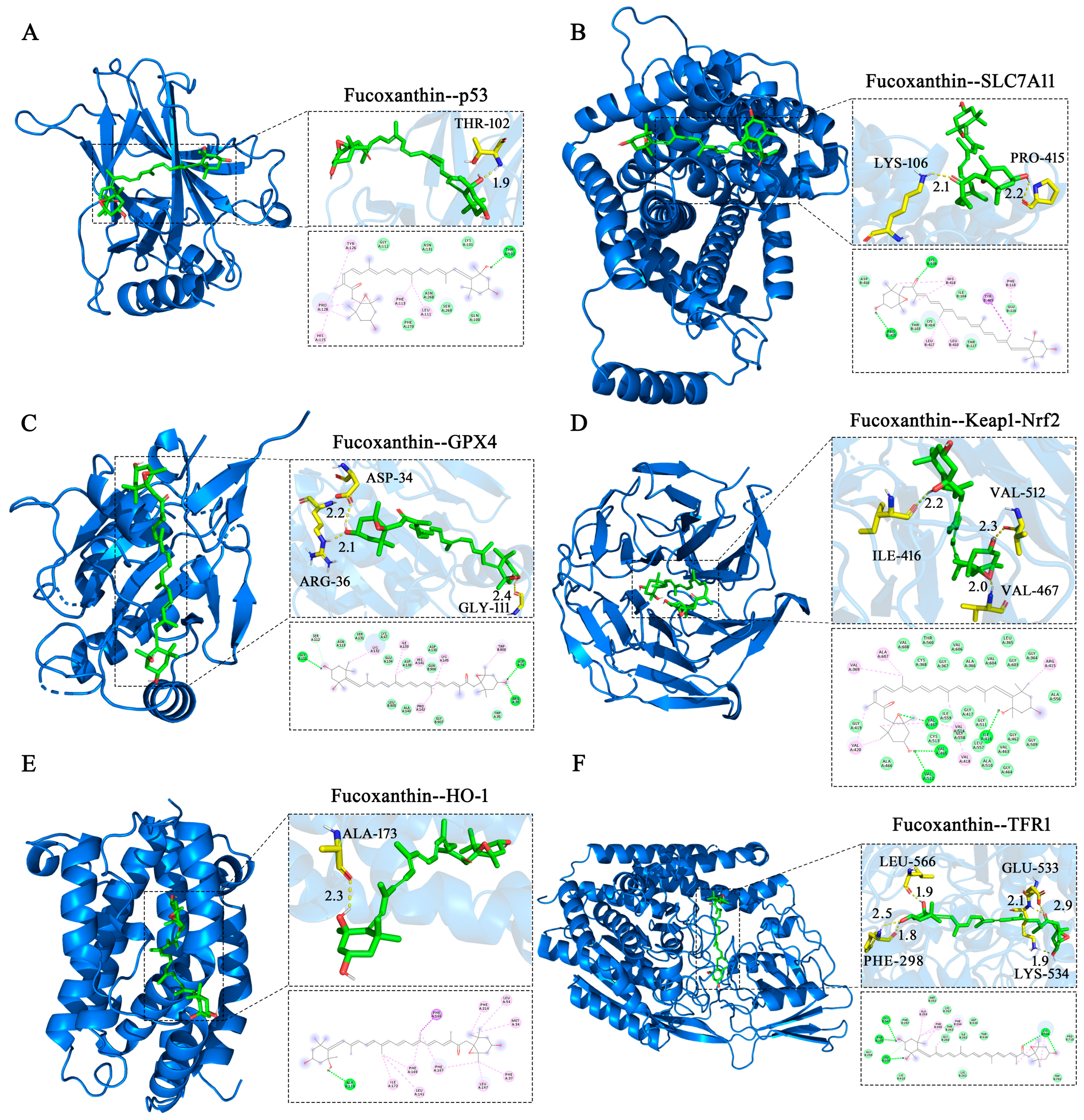 Molecules 29 02832 g008