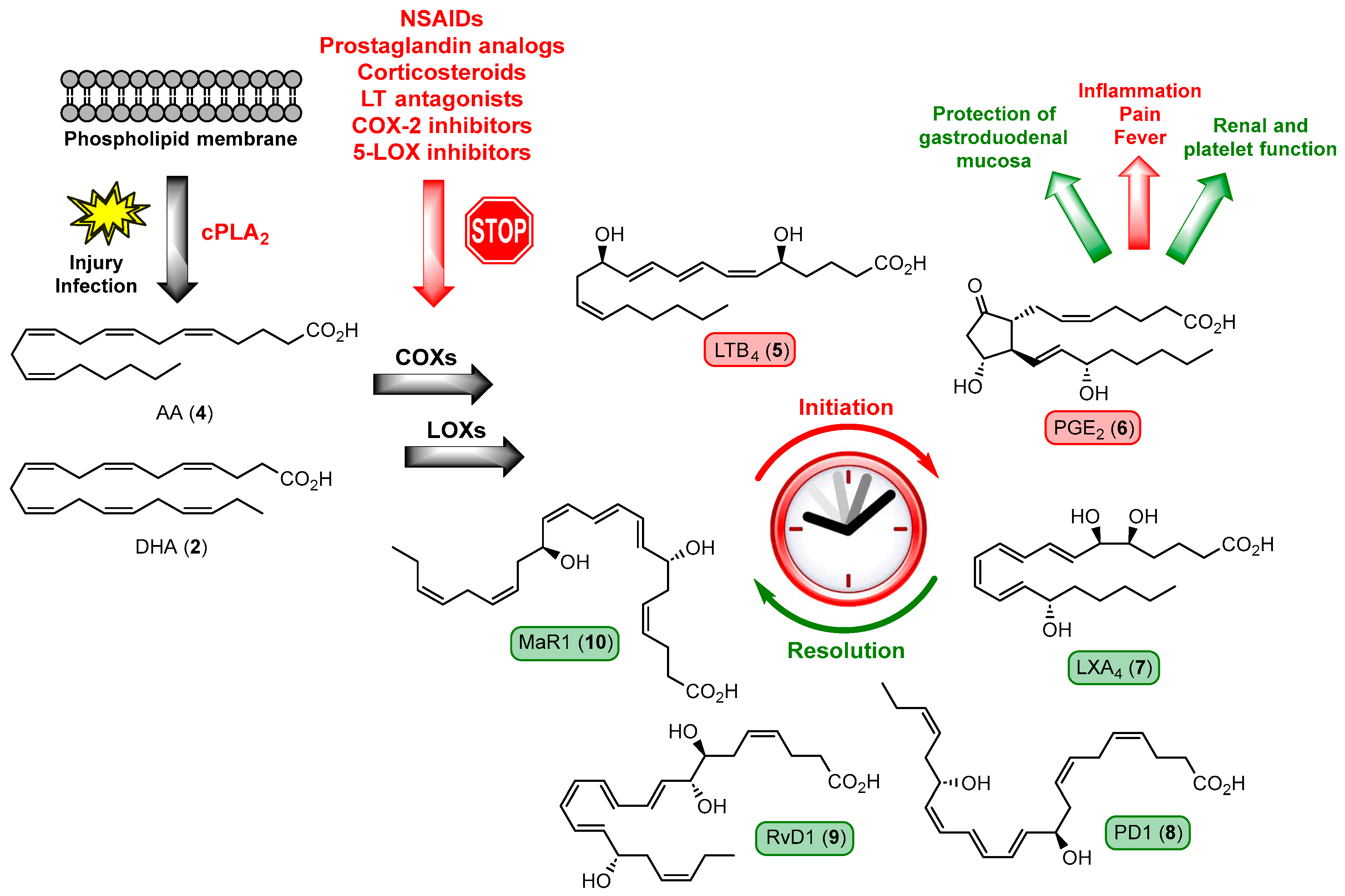 Molecules 29 02833 g003