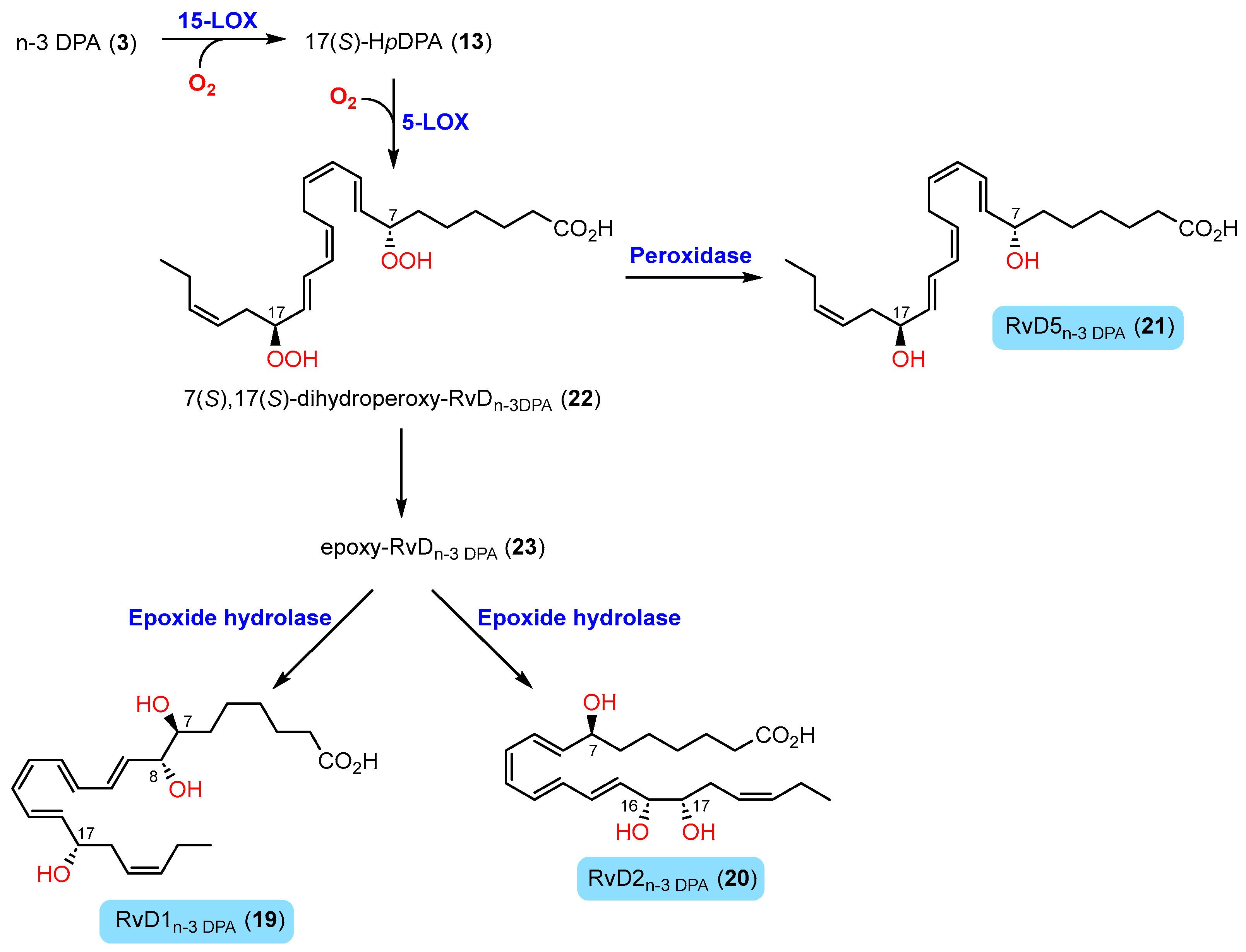 Molecules 29 02833 sch003