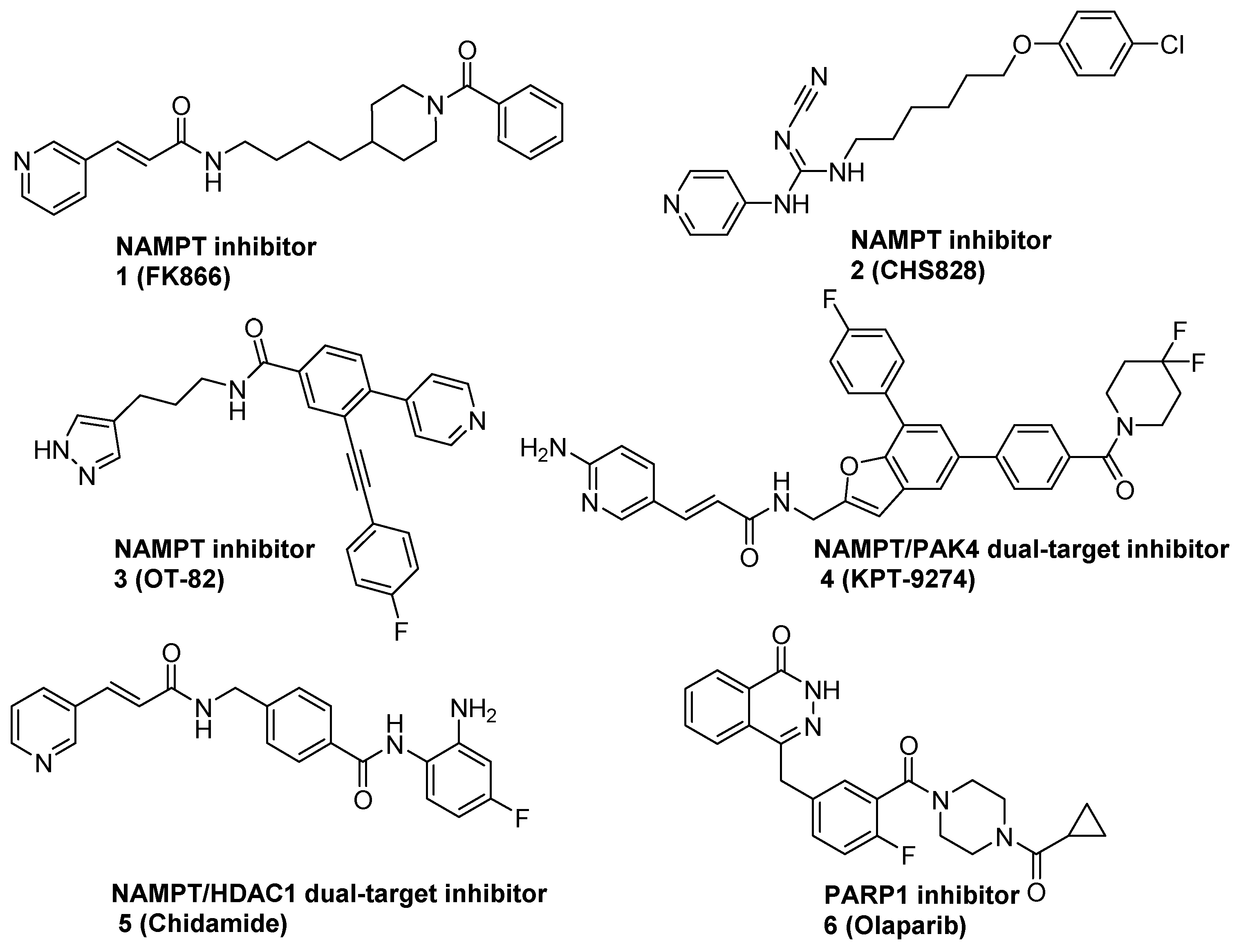 Molecules 29 02836 g001