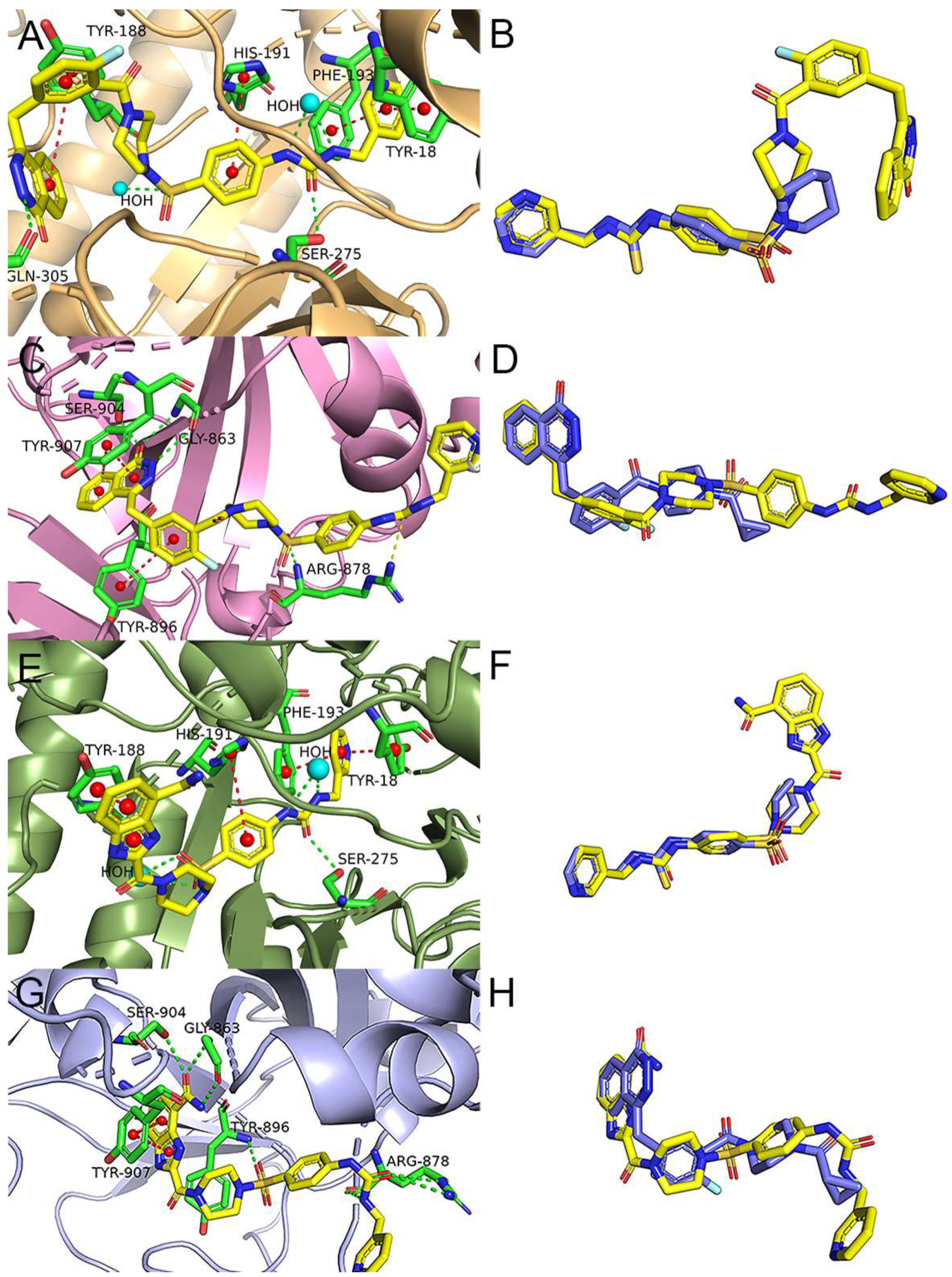 Molecules 29 02836 g005