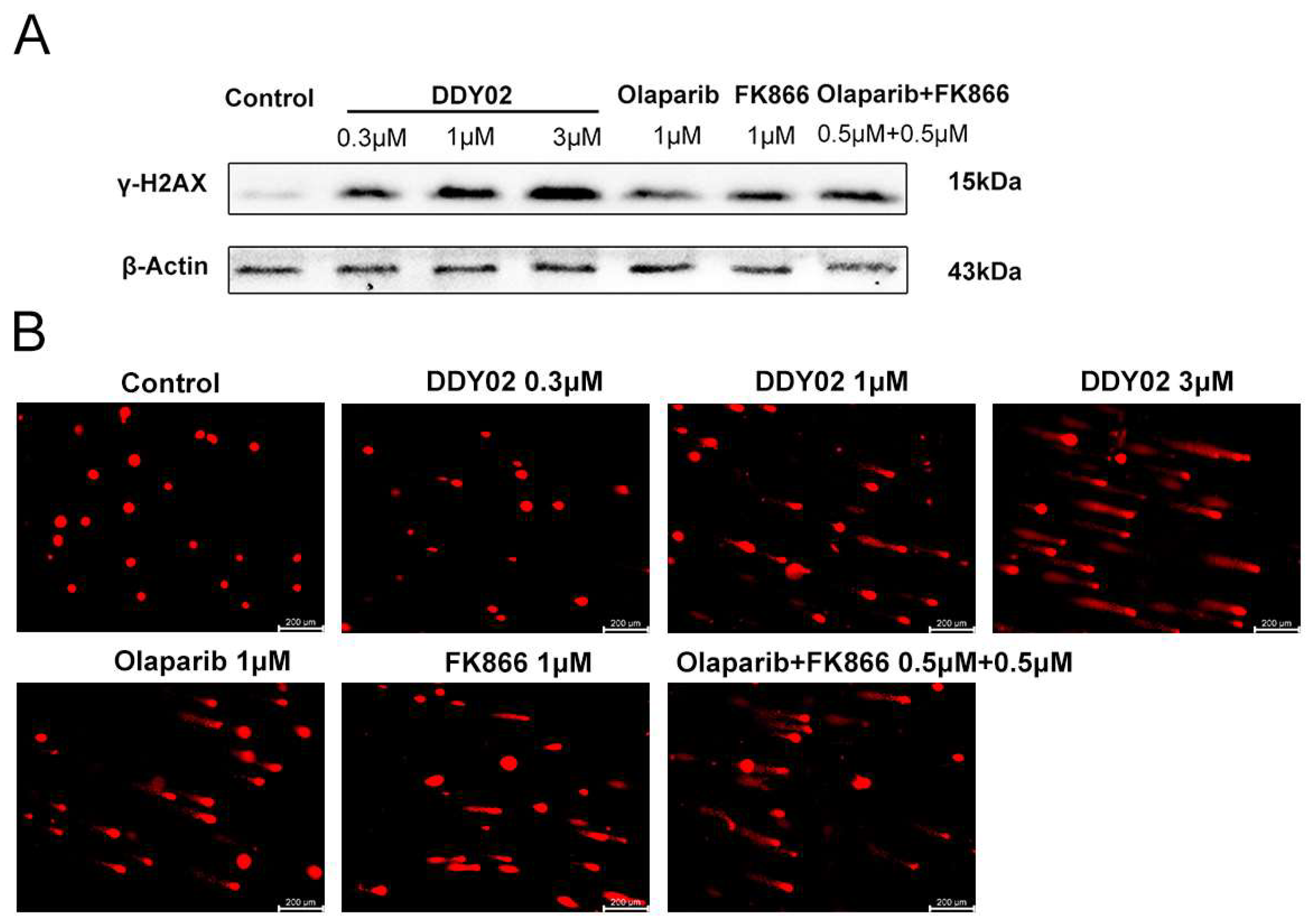 Molecules 29 02836 g009