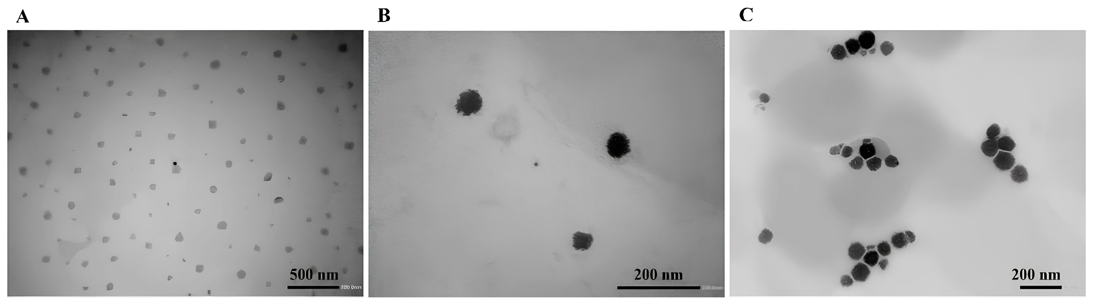 Molecules 29 02843 g003