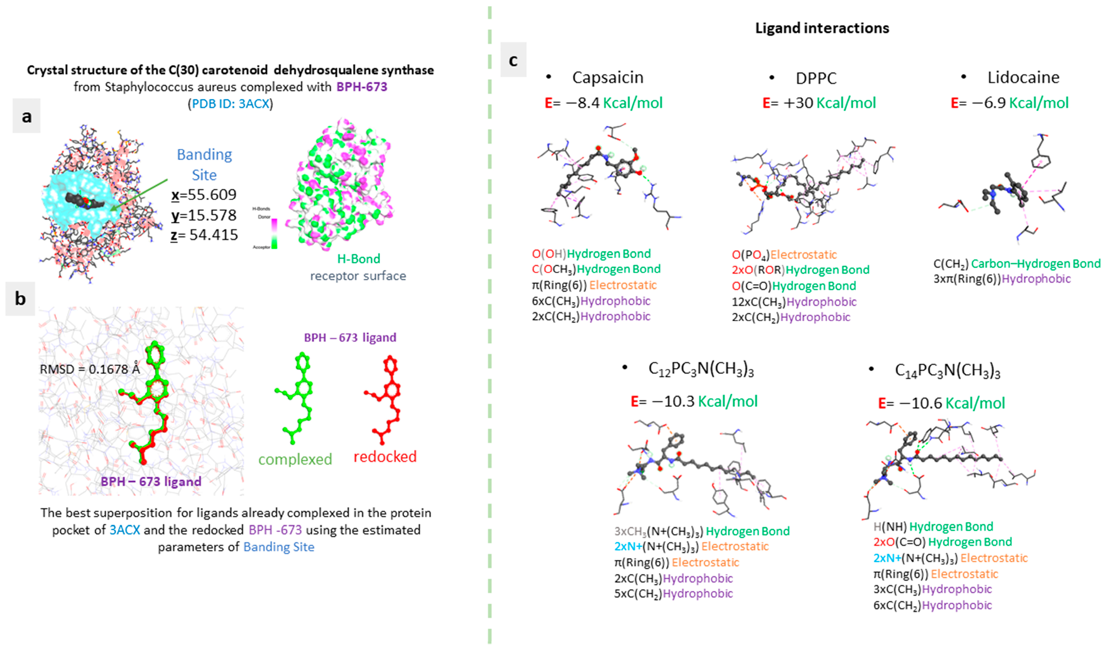 Molecules 29 02843 g012