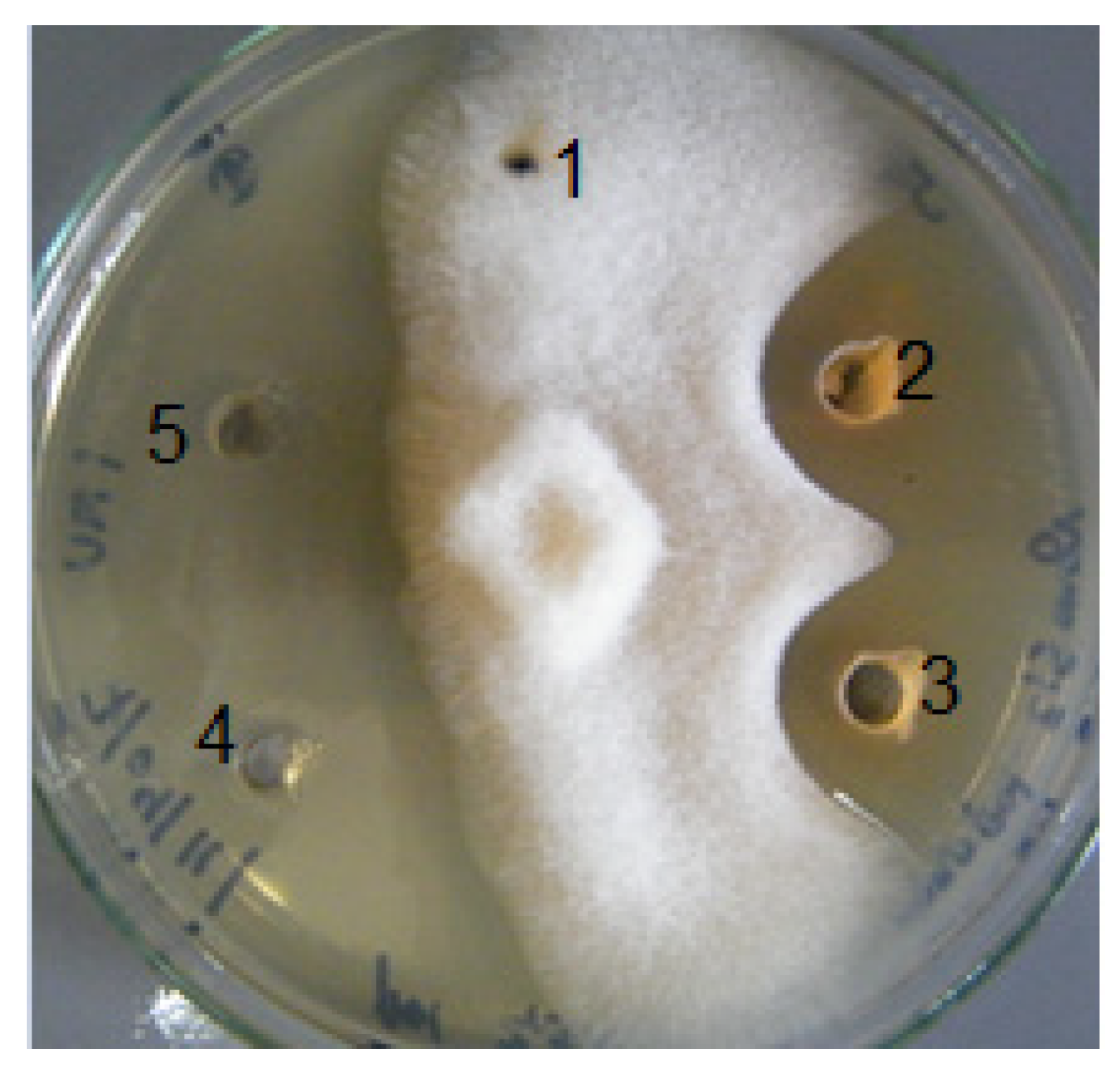 Molecules 29 02844 g005