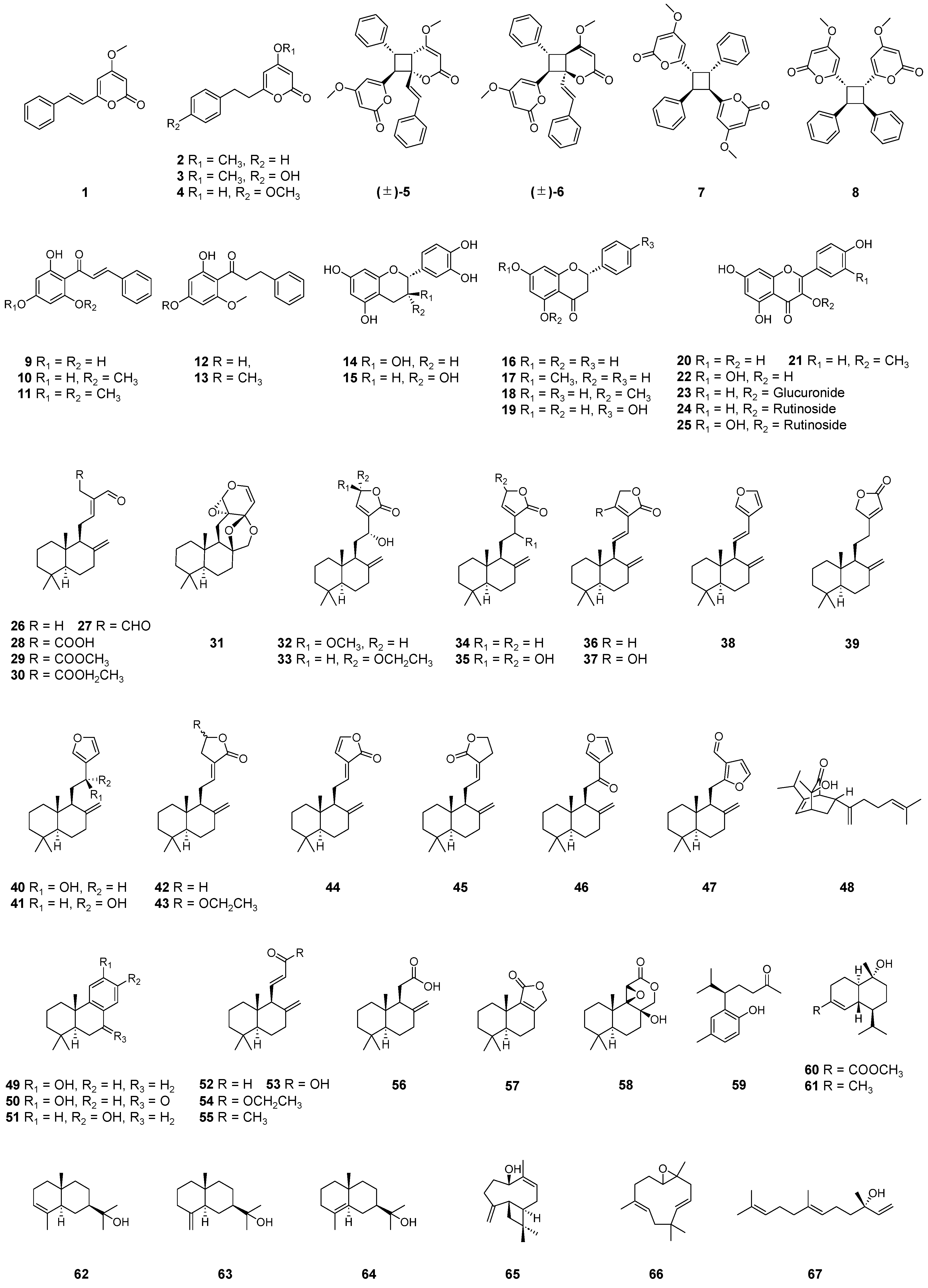 Molecules 29 02845 g001