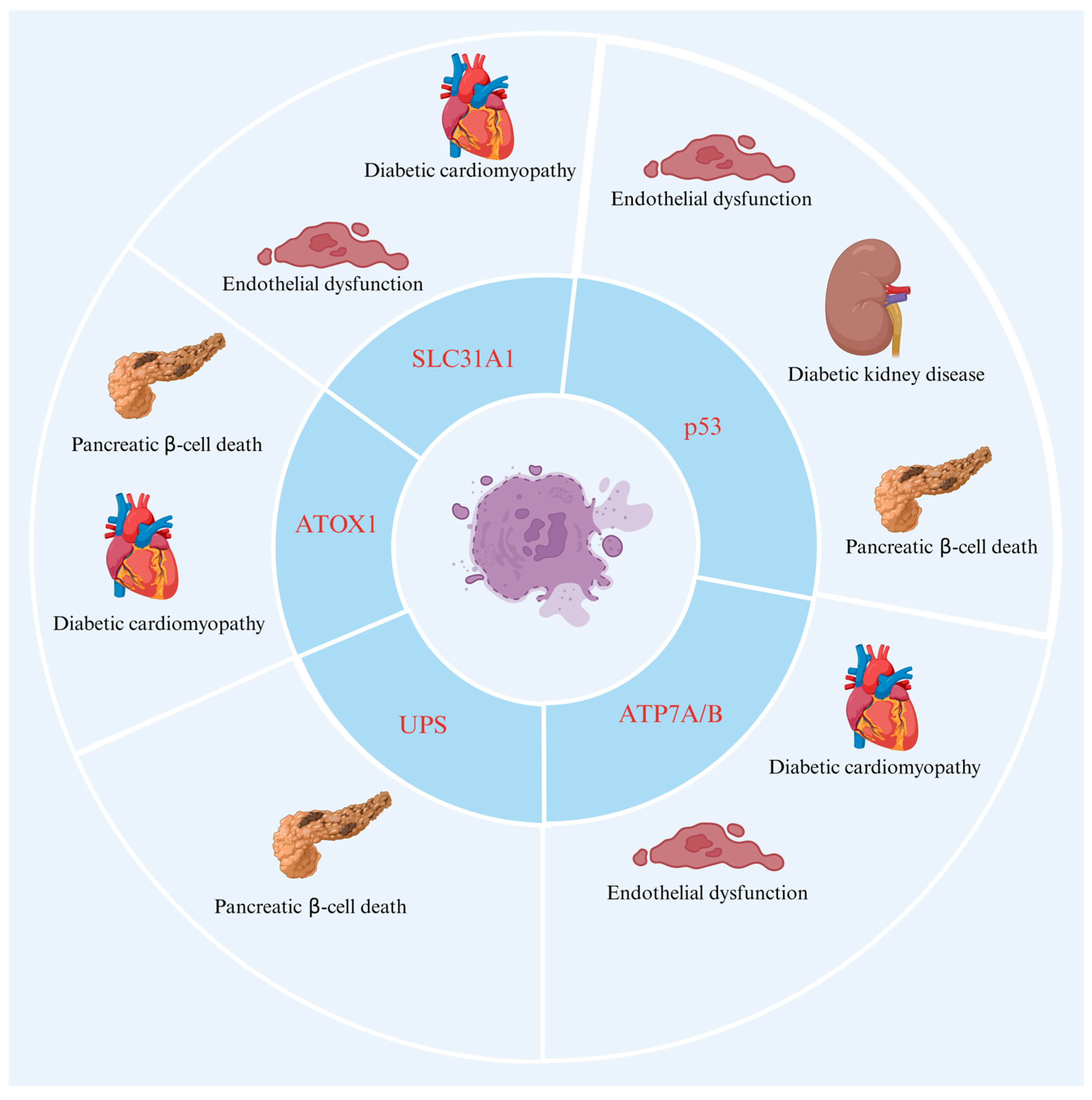 Molecules 29 02852 g003