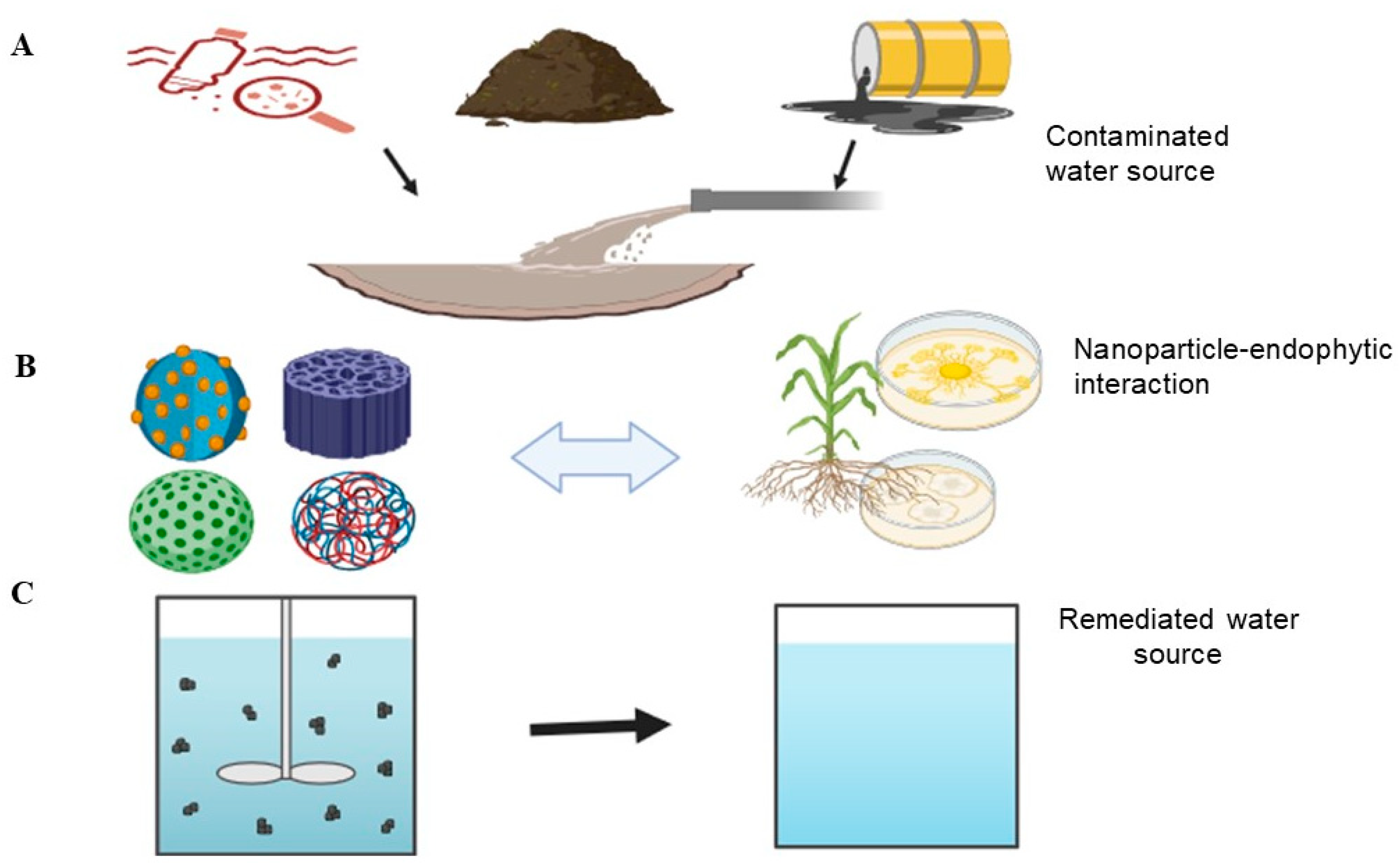 Molecules 29 02858 g001