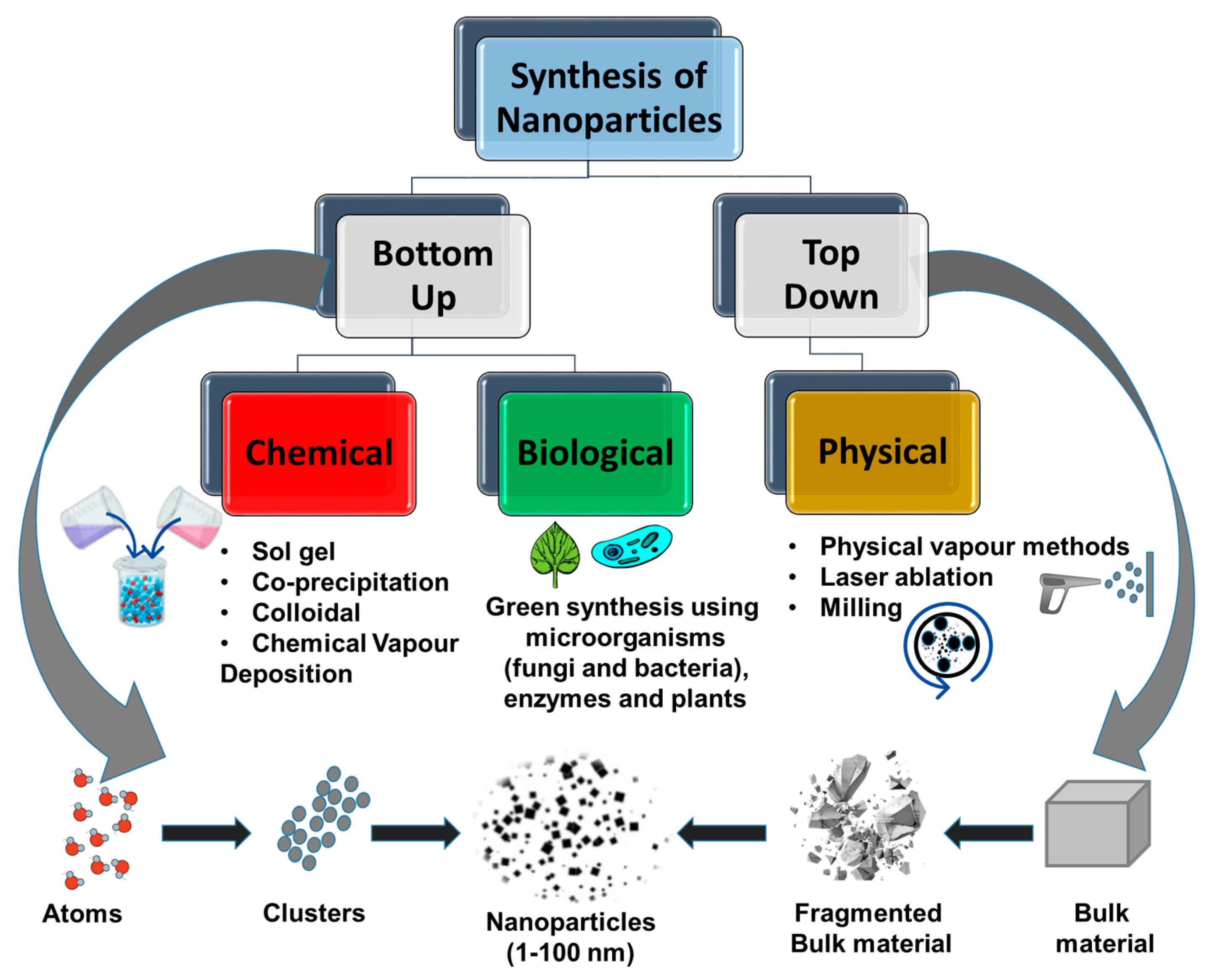 Molecules 29 02858 g002