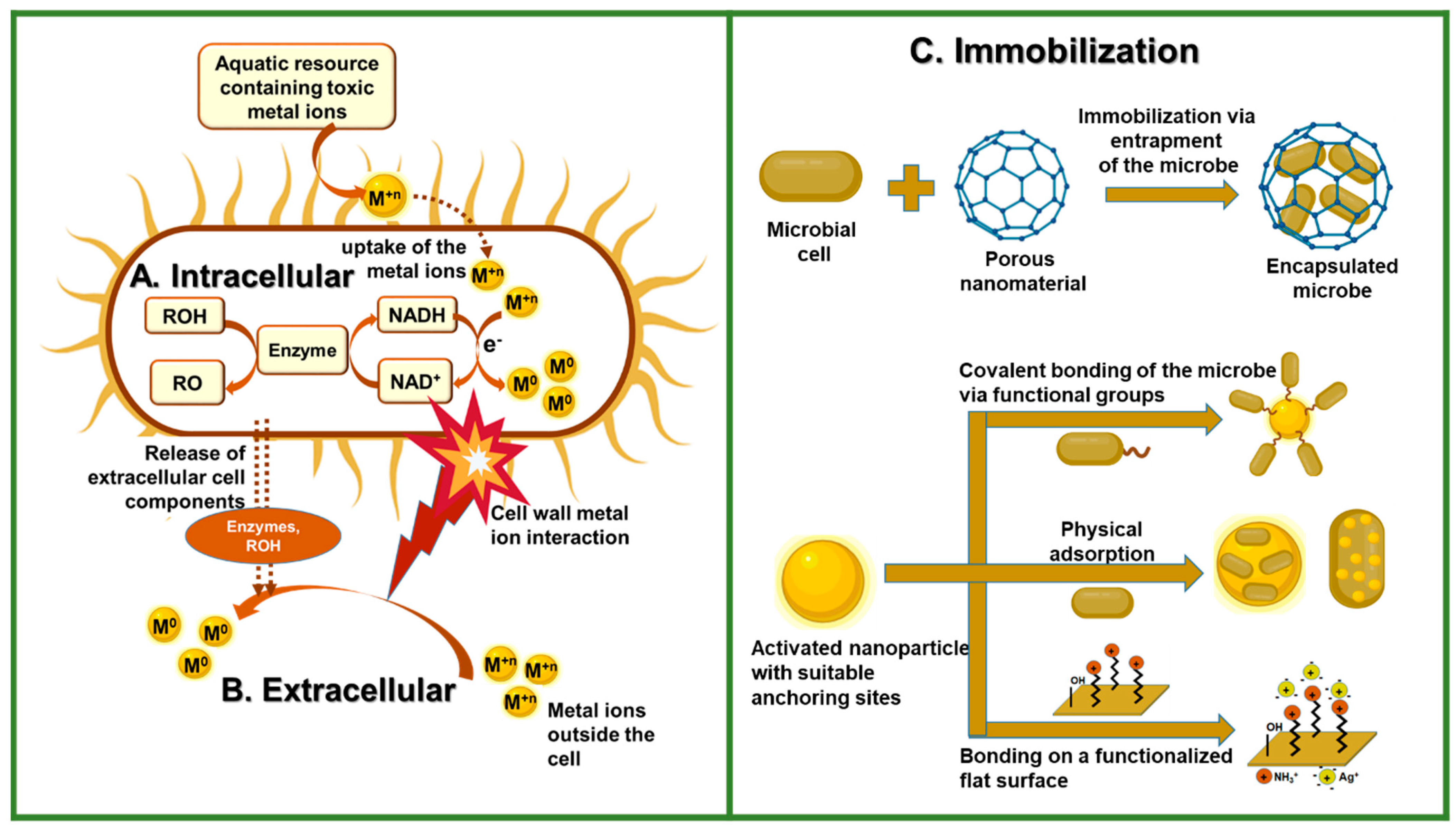 Molecules 29 02858 g003