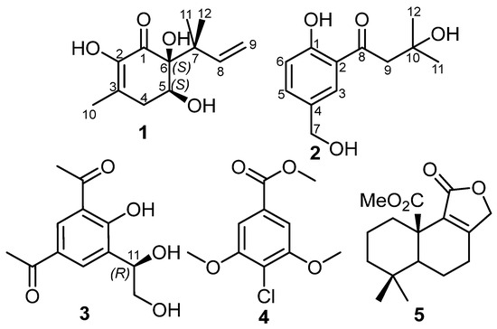 Molecules 29 02859 g001
