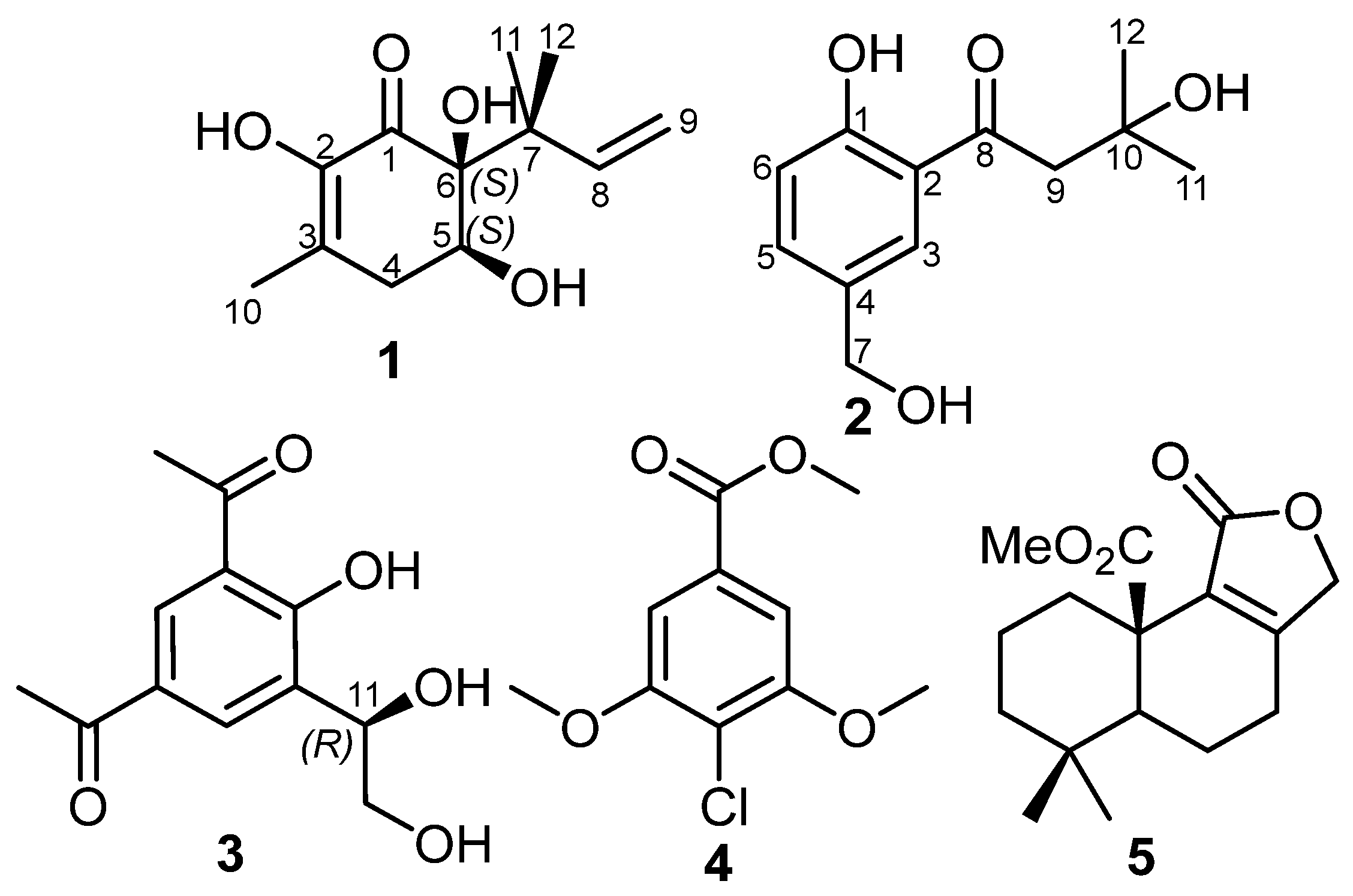 Molecules 29 02859 g001 Molecules 29 02859 g001