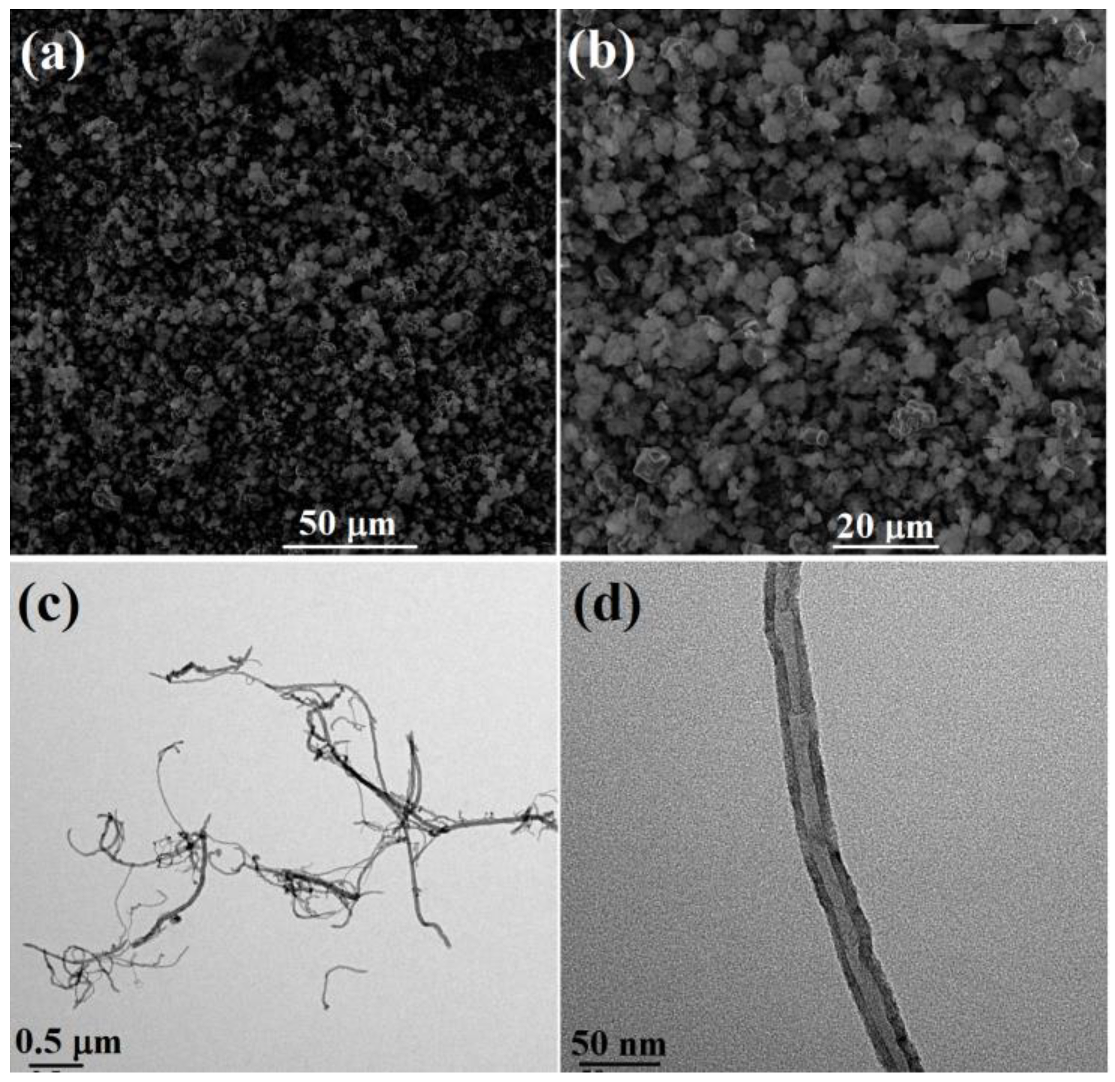 Molecules 29 02864 g001