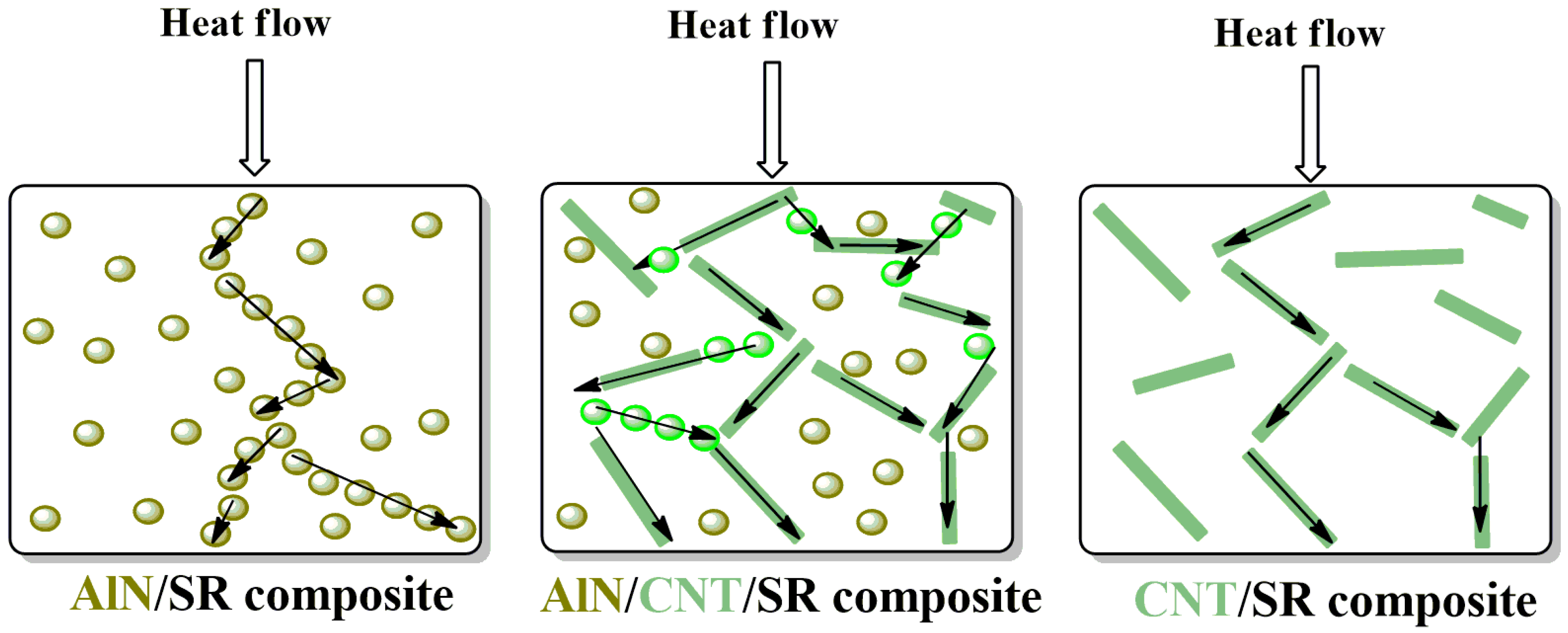 Molecules 29 02864 g007