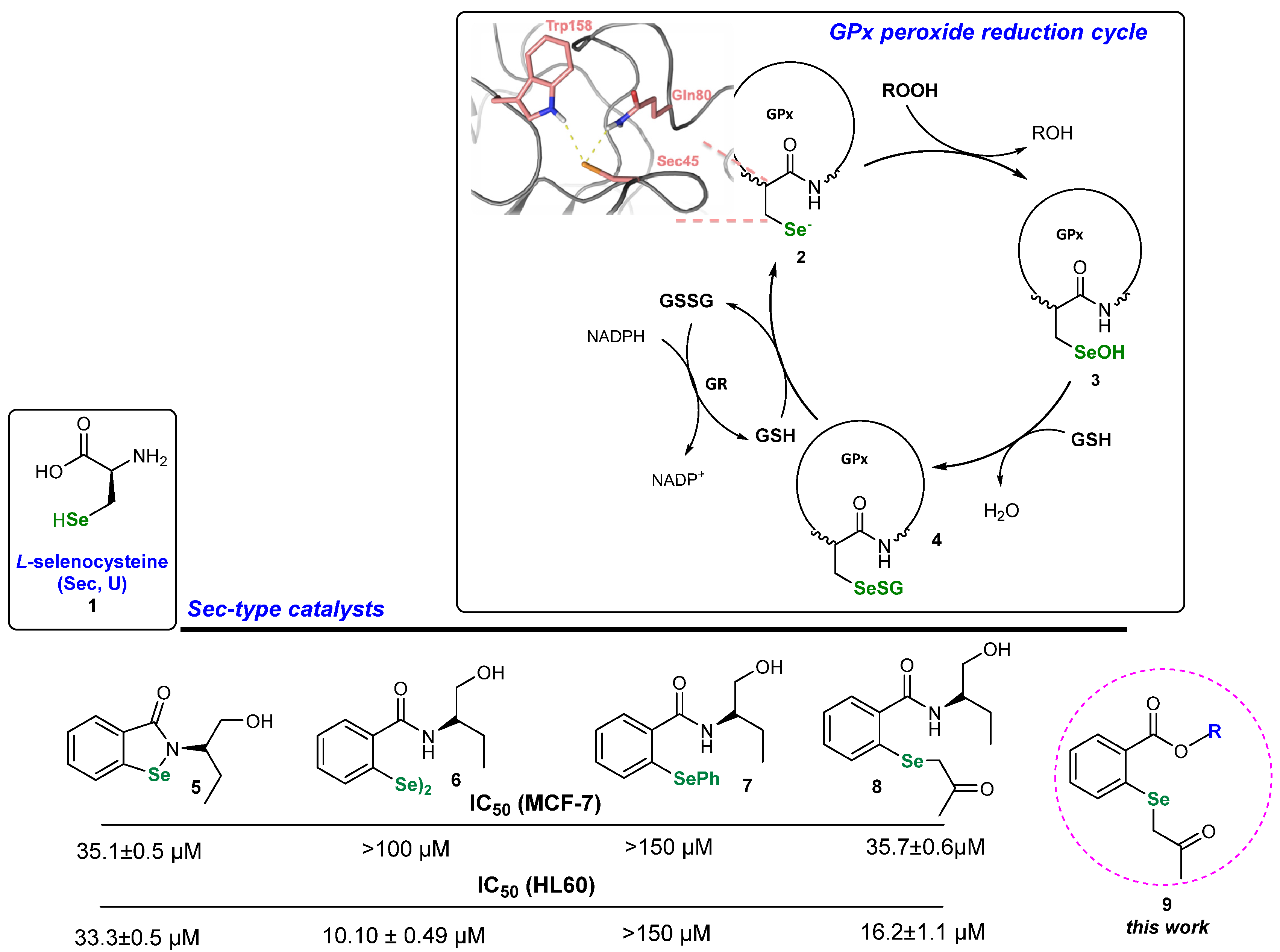 Molecules 29 02866 sch001