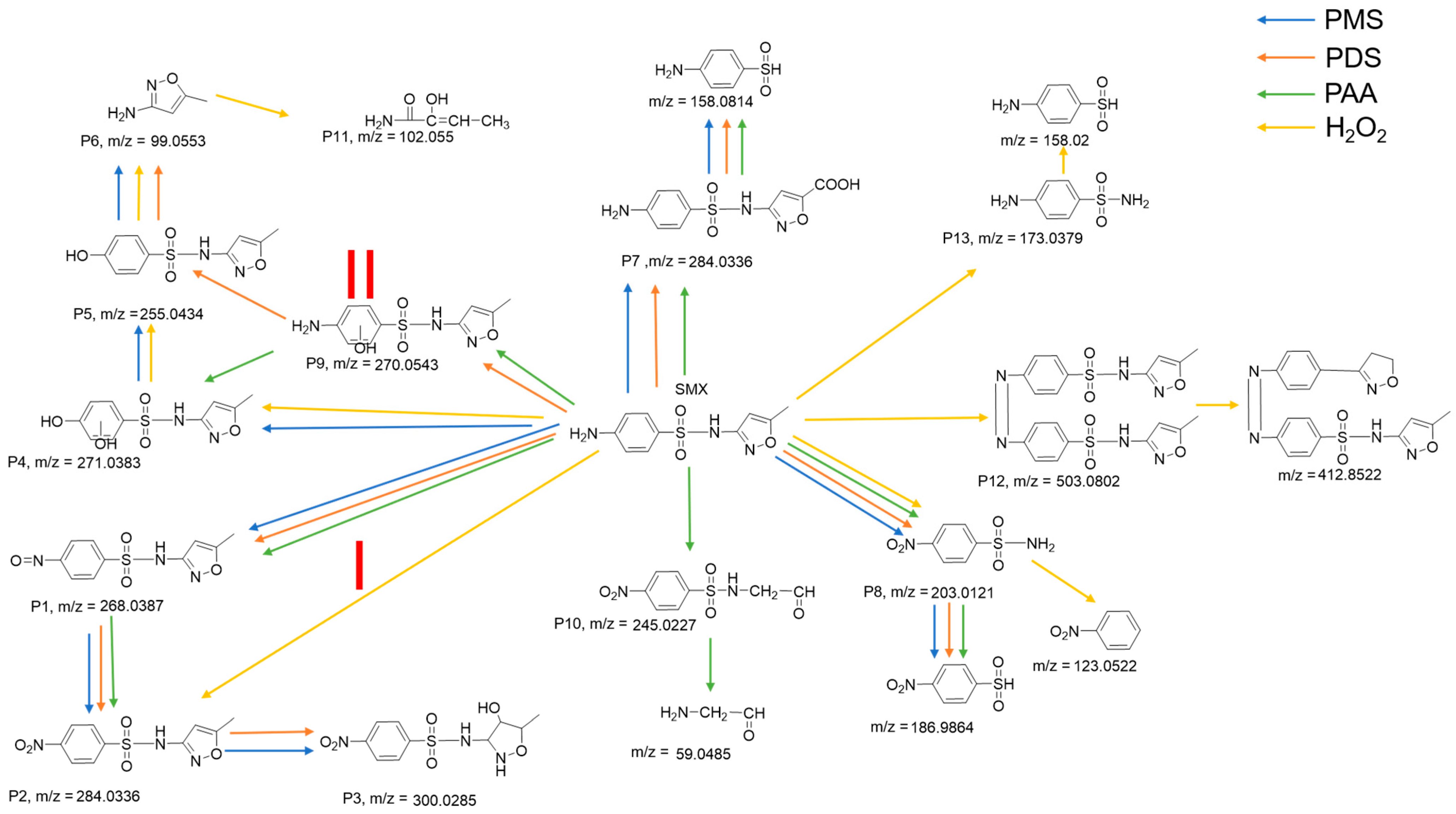 Molecules 29 02868 g007