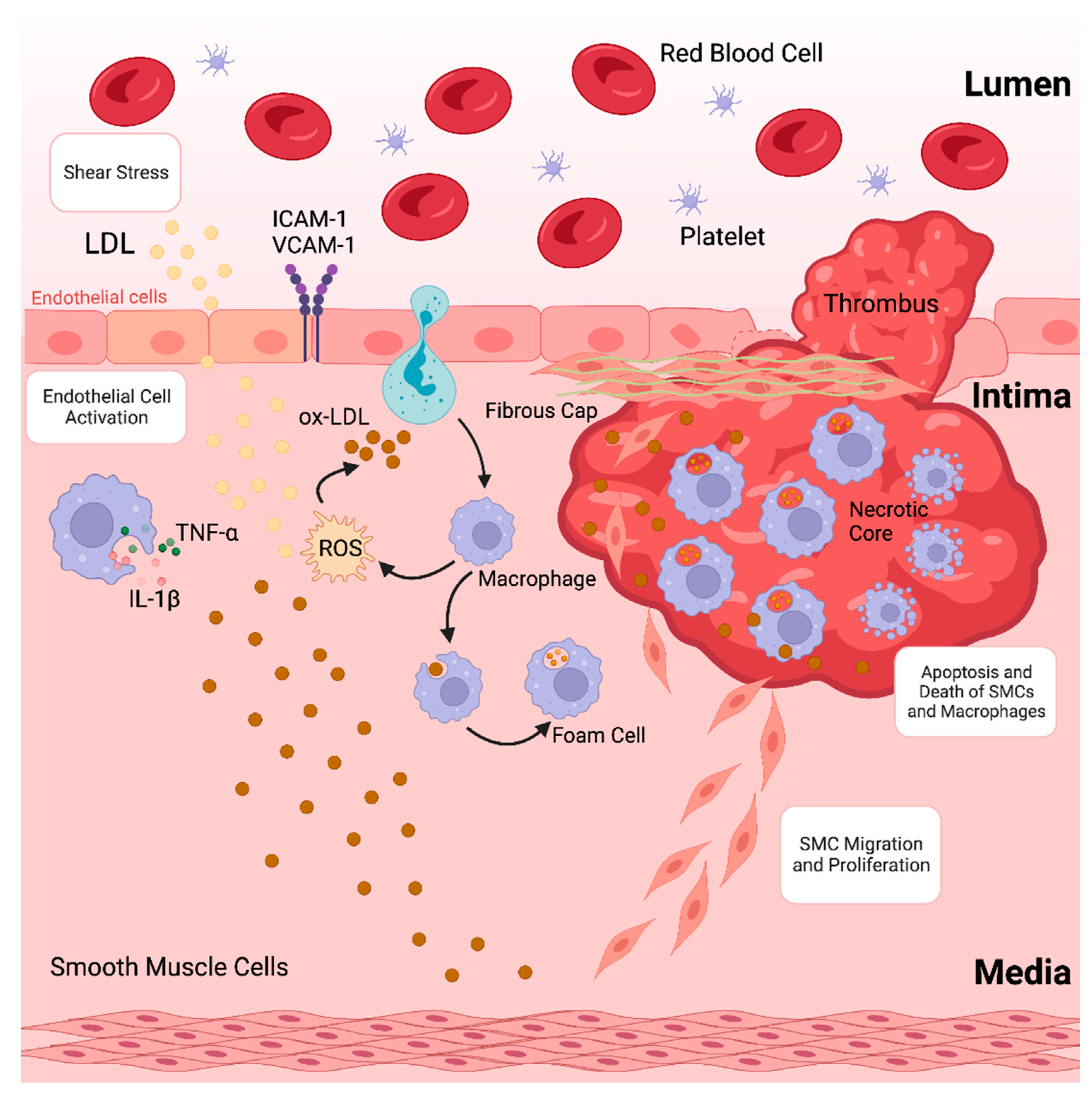 Molecules 29 02873 g001