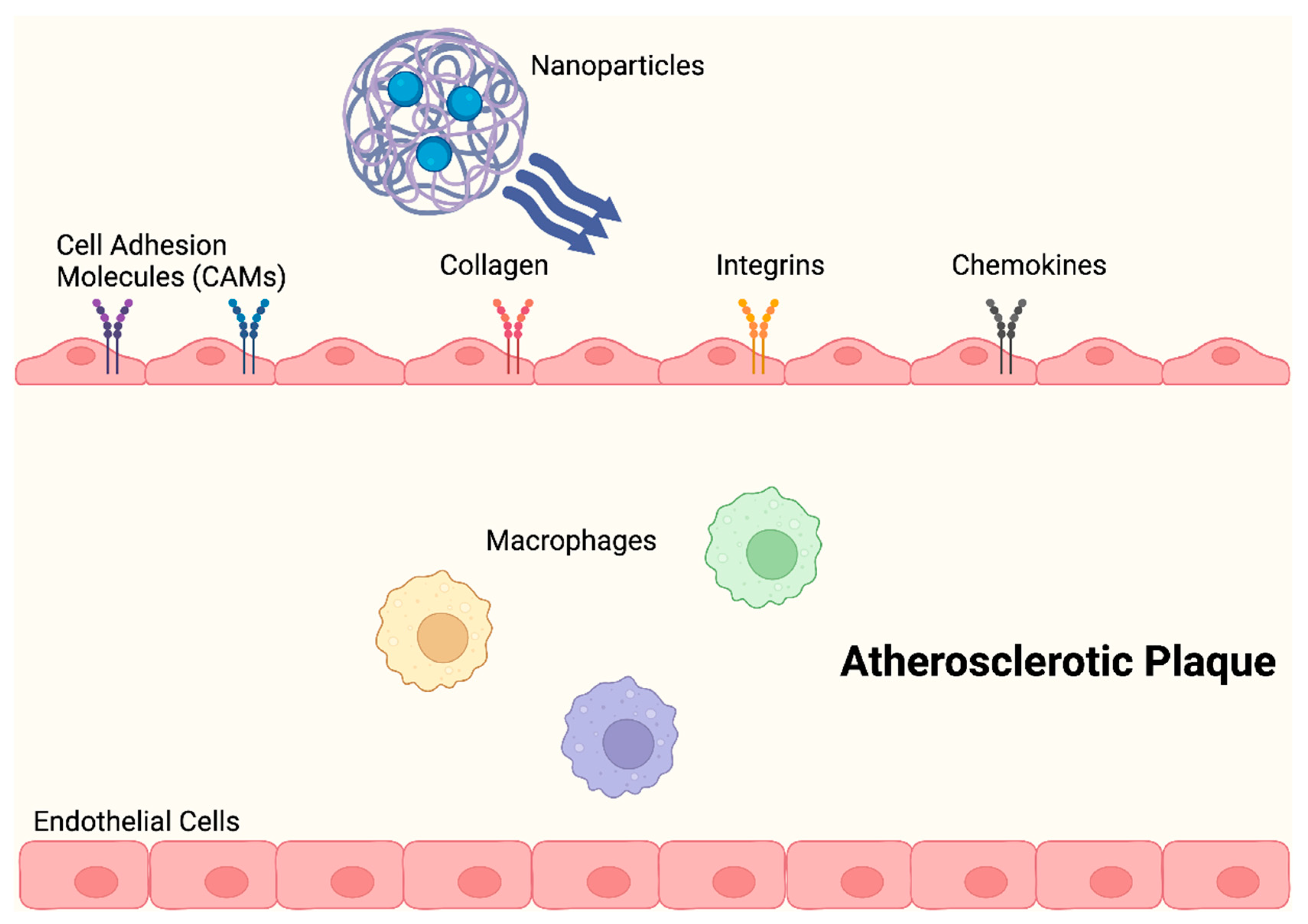 Molecules 29 02873 g004