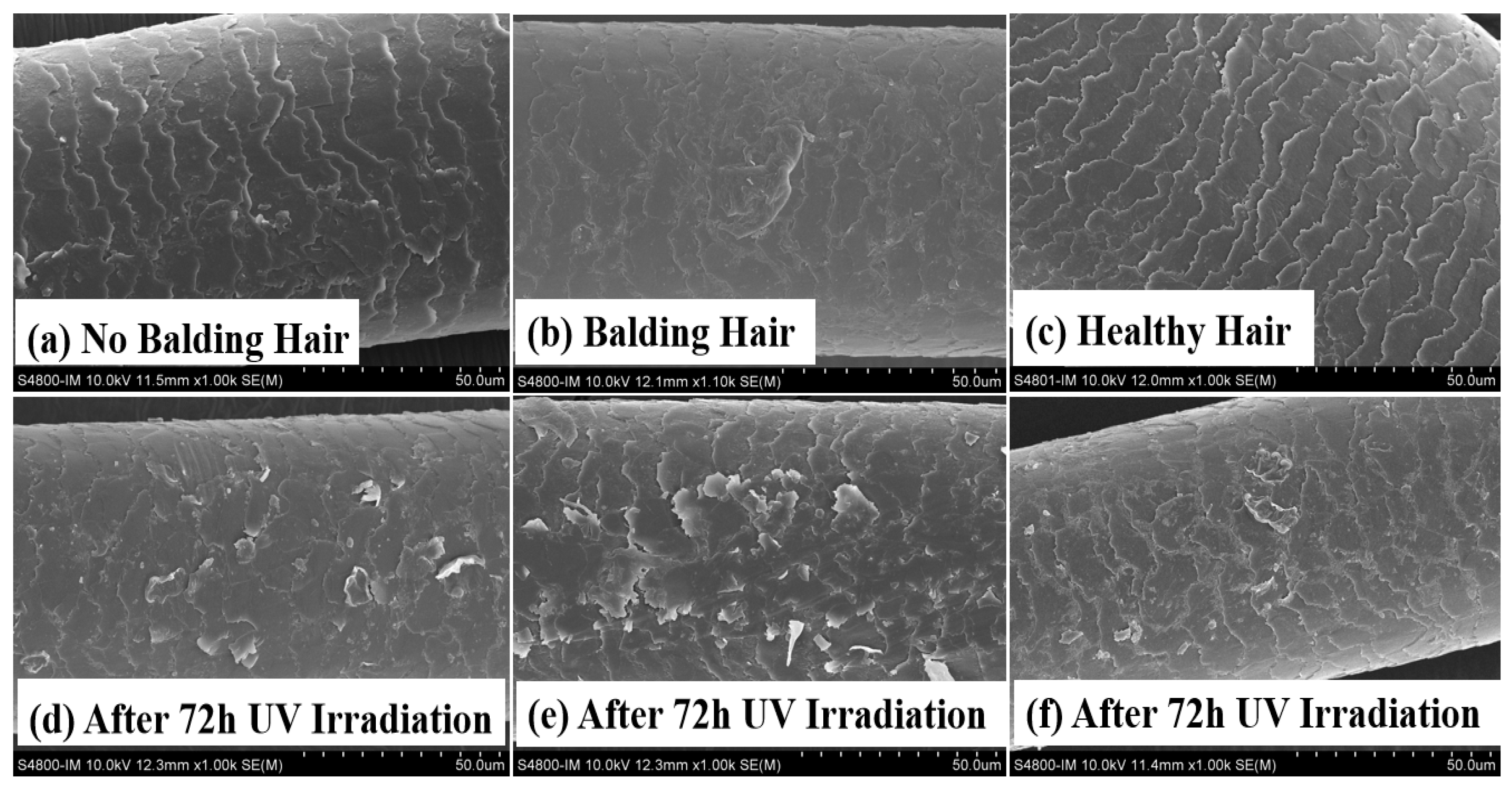 Molecules 29 02876 g001 Molecules 29 02876 g001