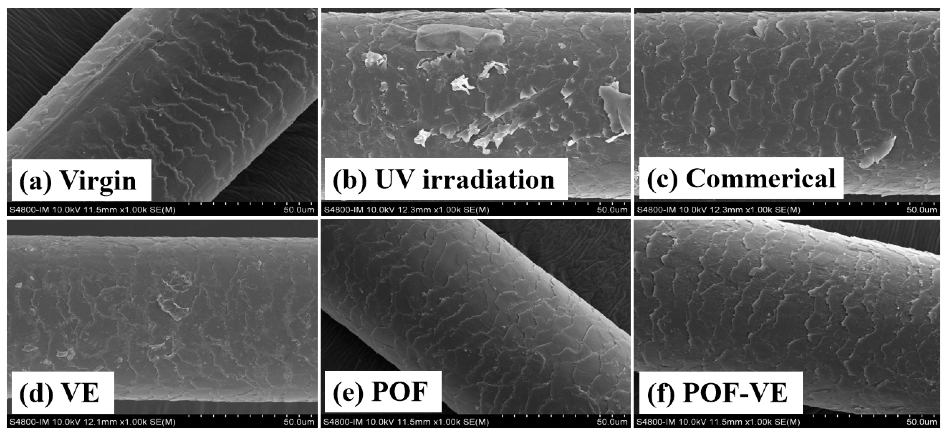 Molecules 29 02876 g004 Molecules 29 02876 g004