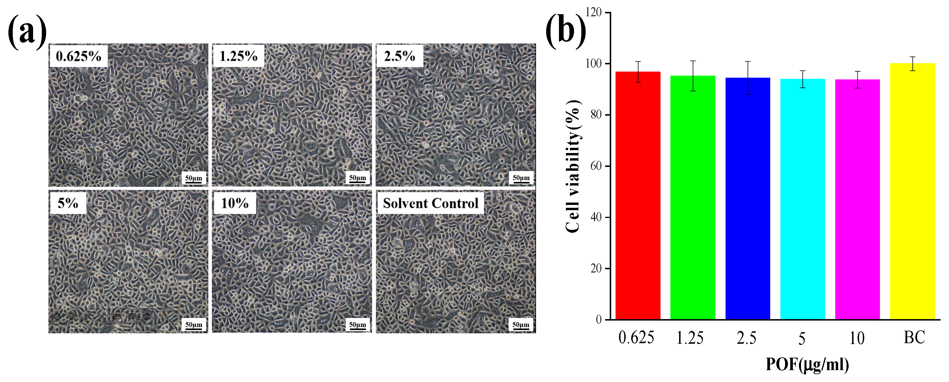 Molecules 29 02876 g005 Molecules 29 02876 g005