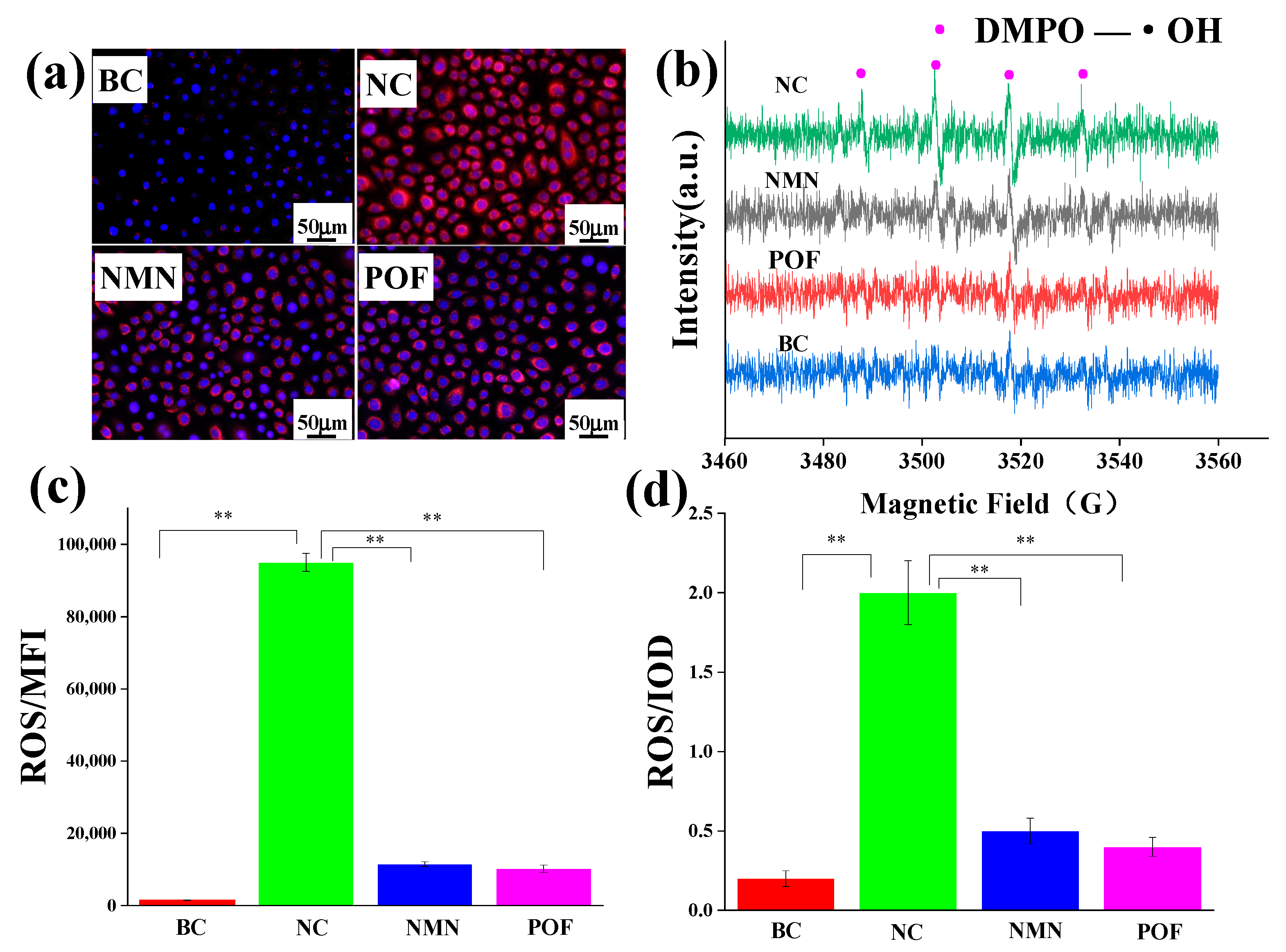 Molecules 29 02876 g006 Molecules 29 02876 g006