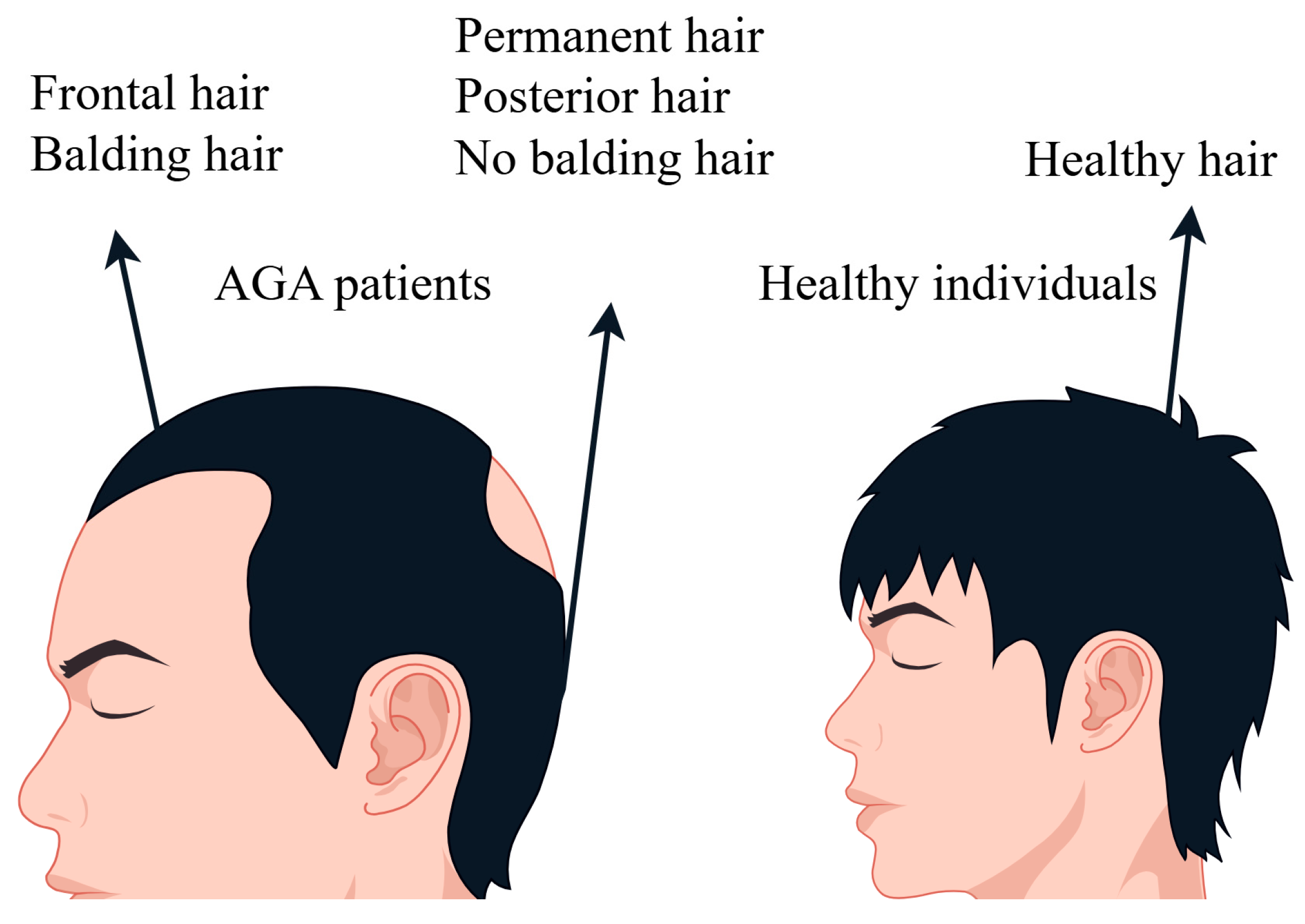 Molecules 29 02876 g008 Molecules 29 02876 g008