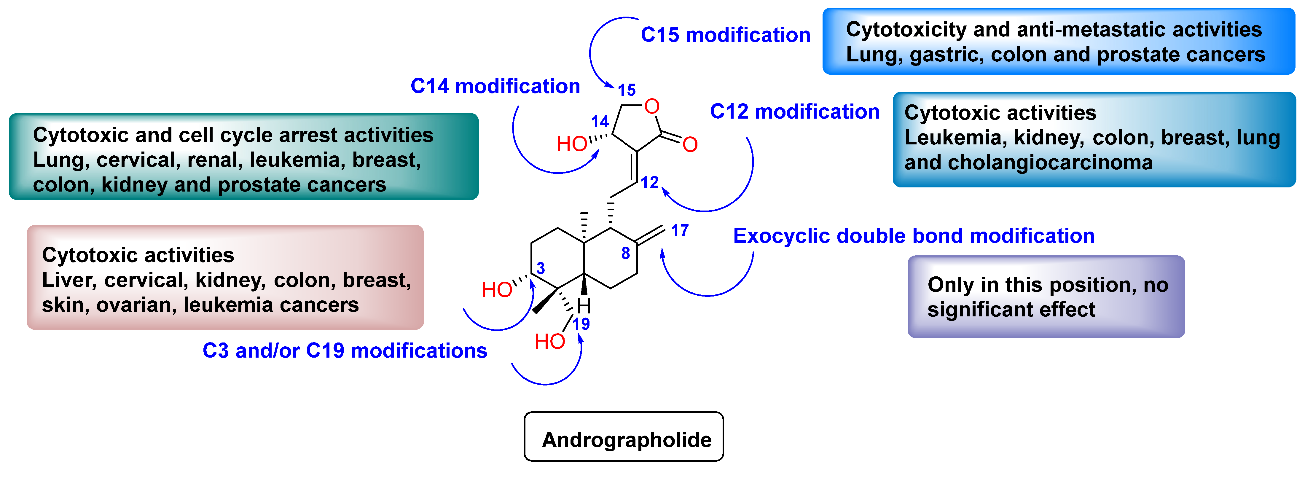 Molecules 29 02884 g002