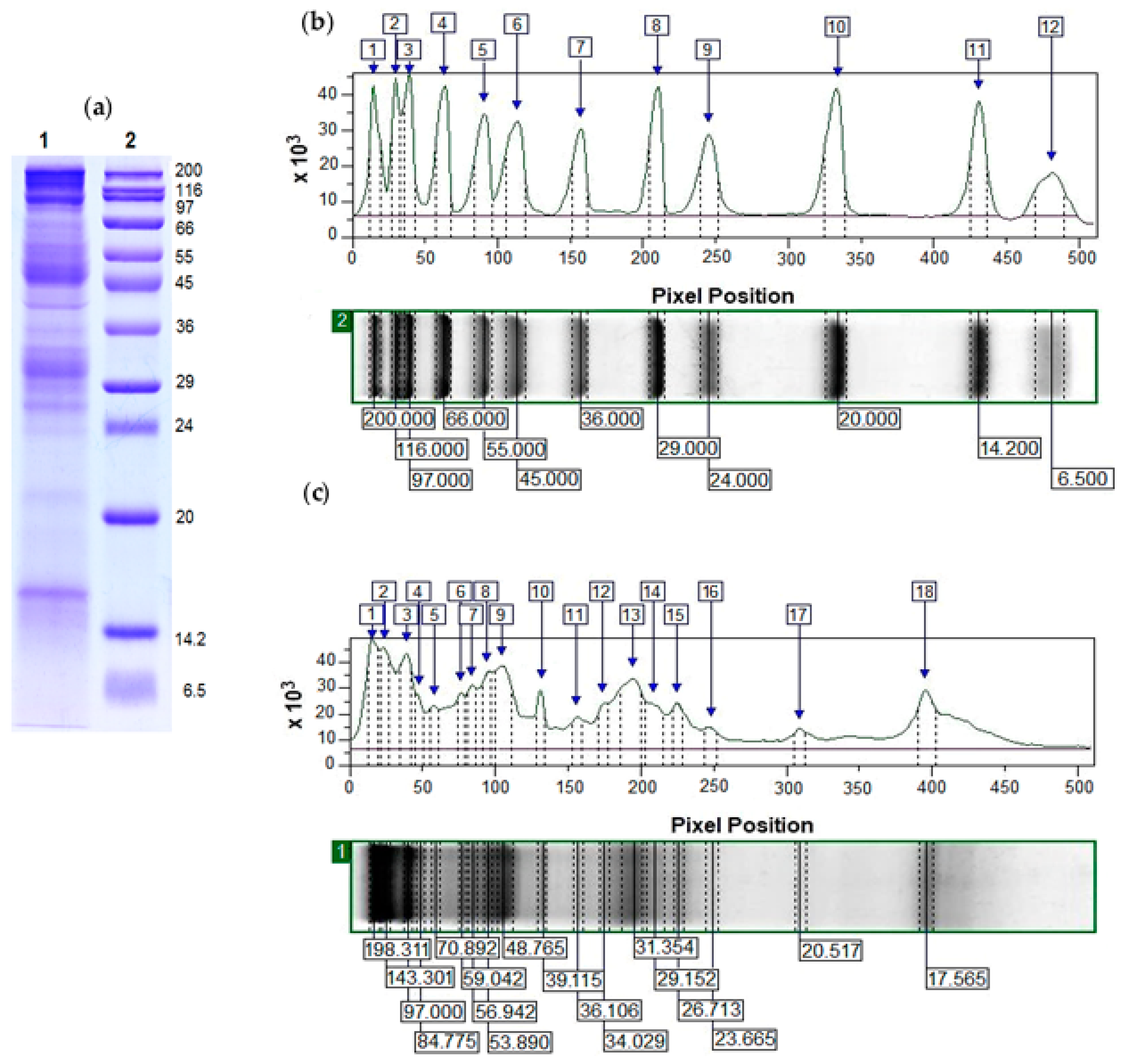 Molecules 29 02886 g005