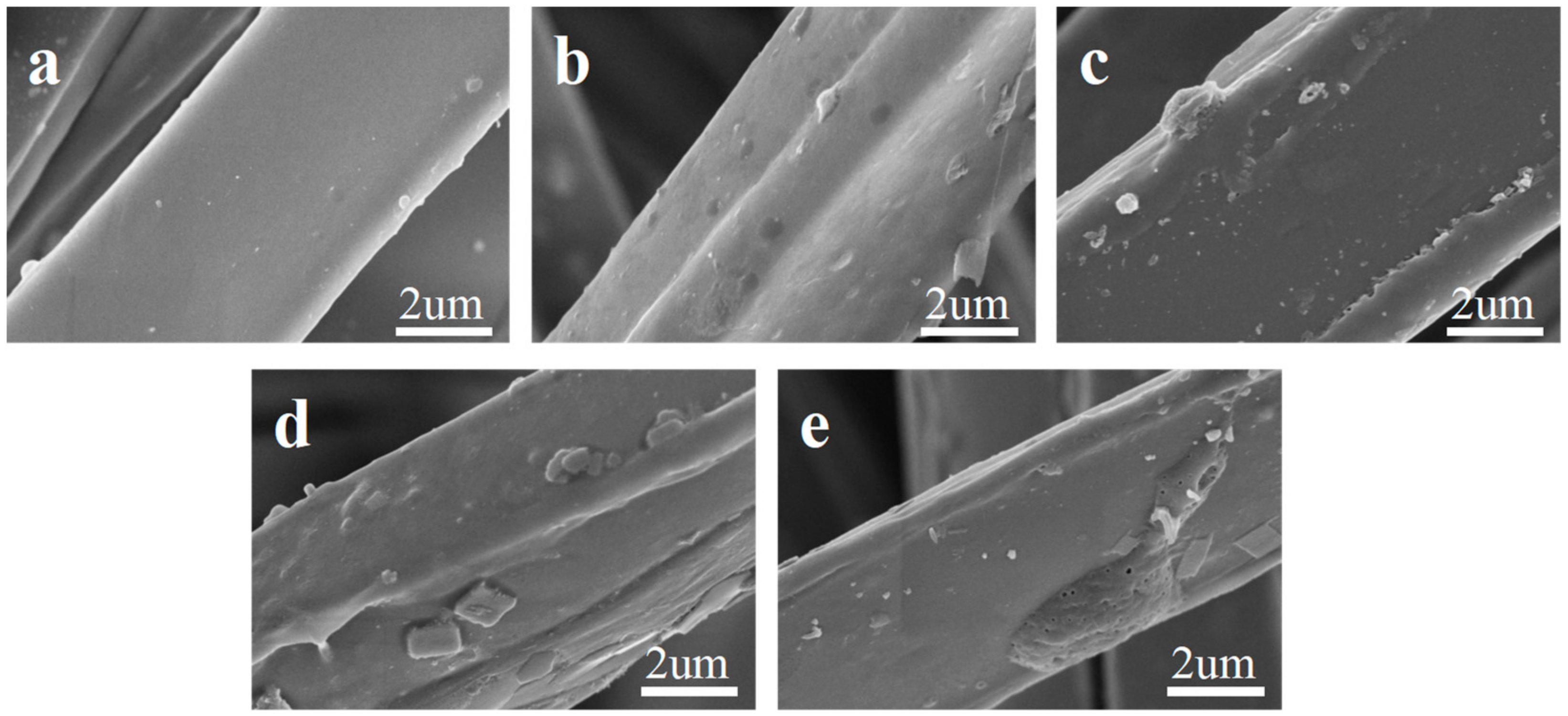Molecules 29 02891 g002 Molecules 29 02891 g002