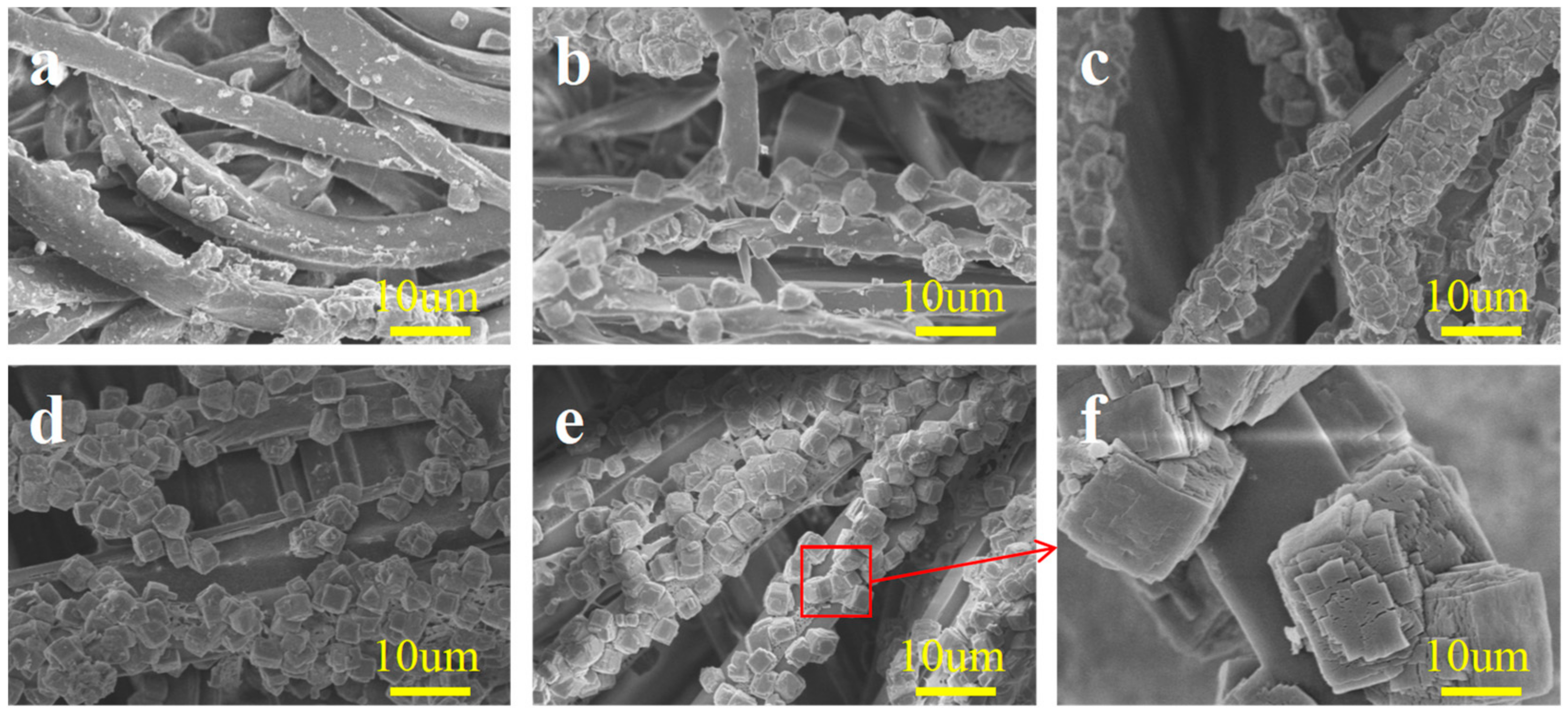 Molecules 29 02891 g003 Molecules 29 02891 g003