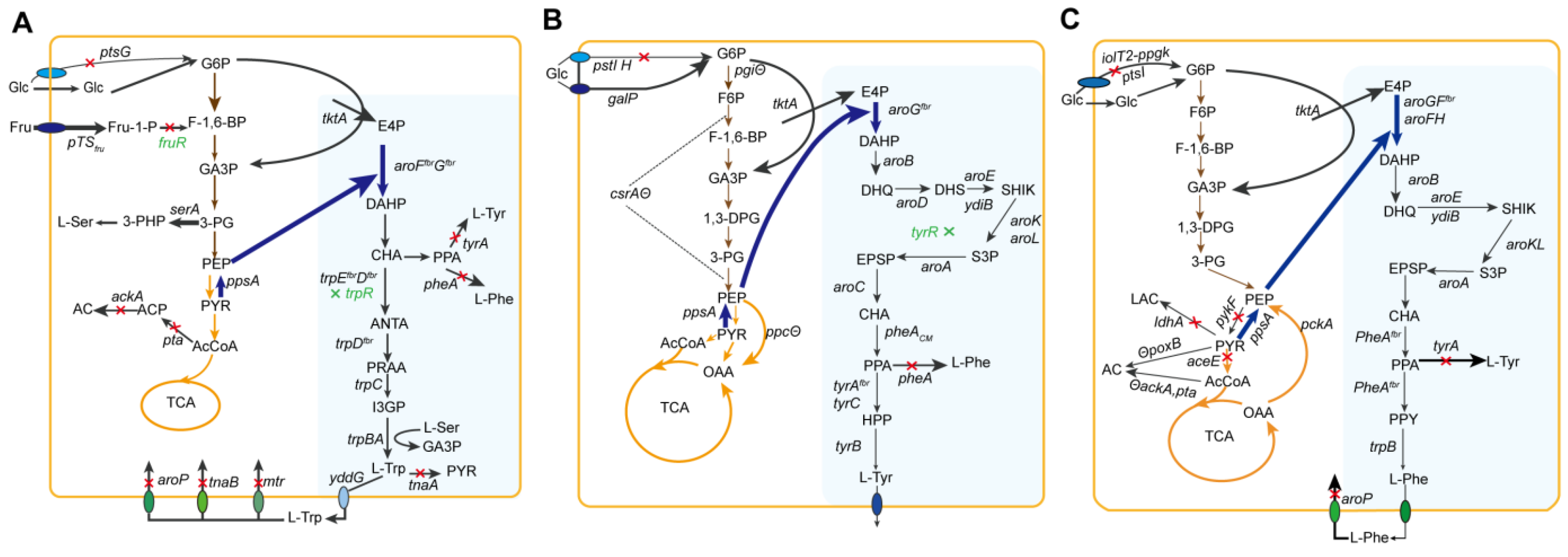 Molecules 29 02893 g002