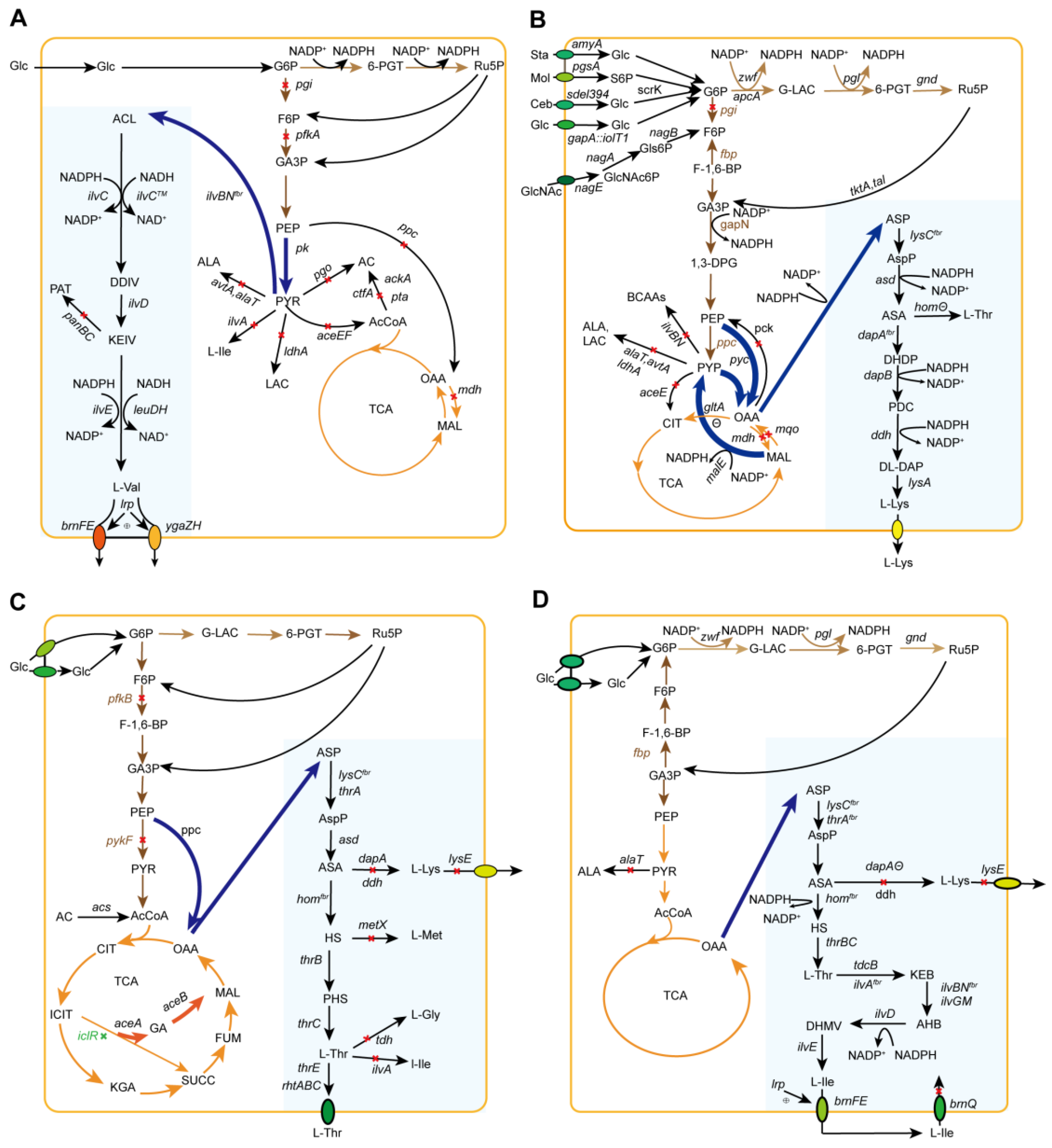 Molecules 29 02893 g003
