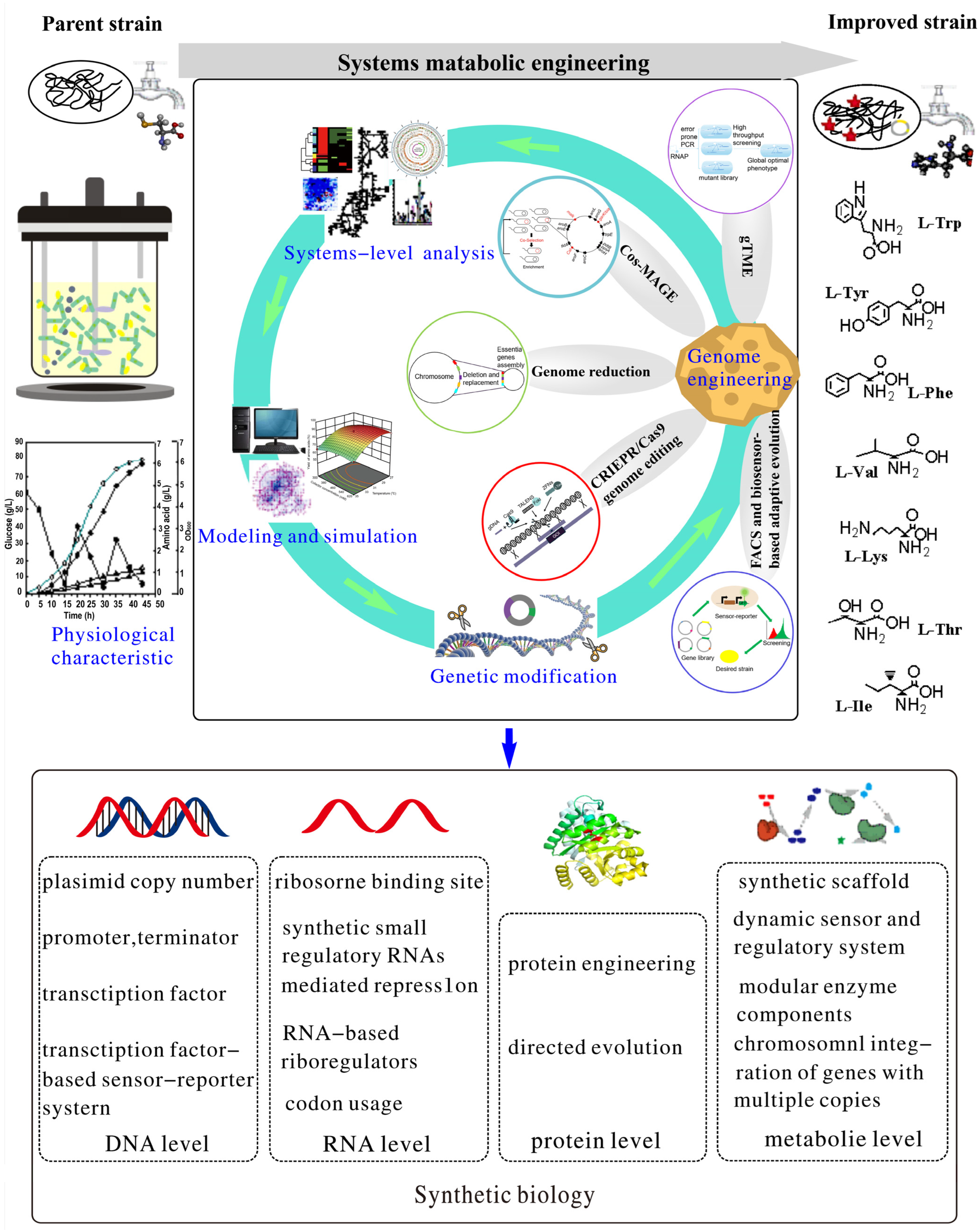 Molecules 29 02893 g004