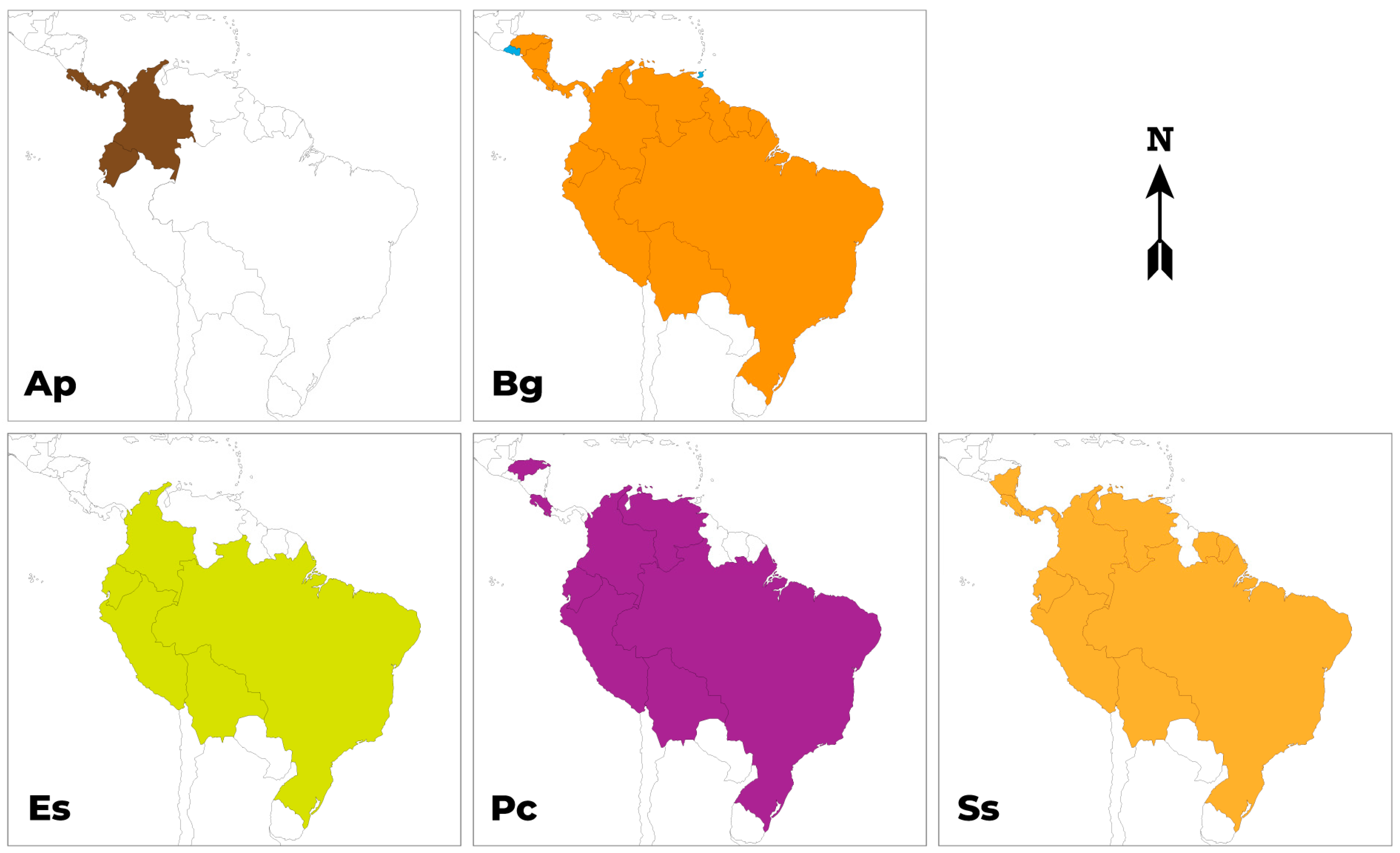 Molecules 29 02904 g001