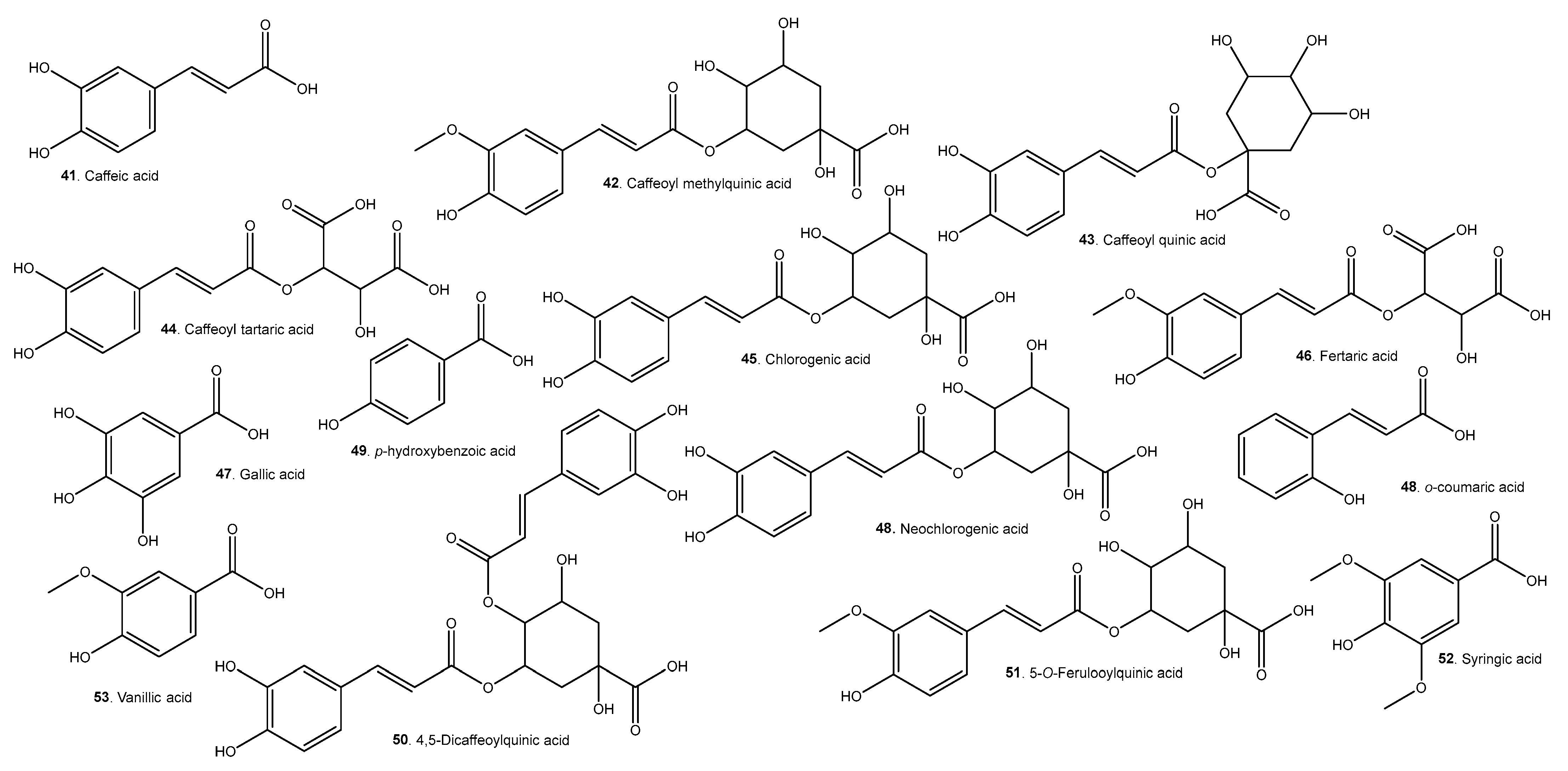 Molecules 29 02904 g010