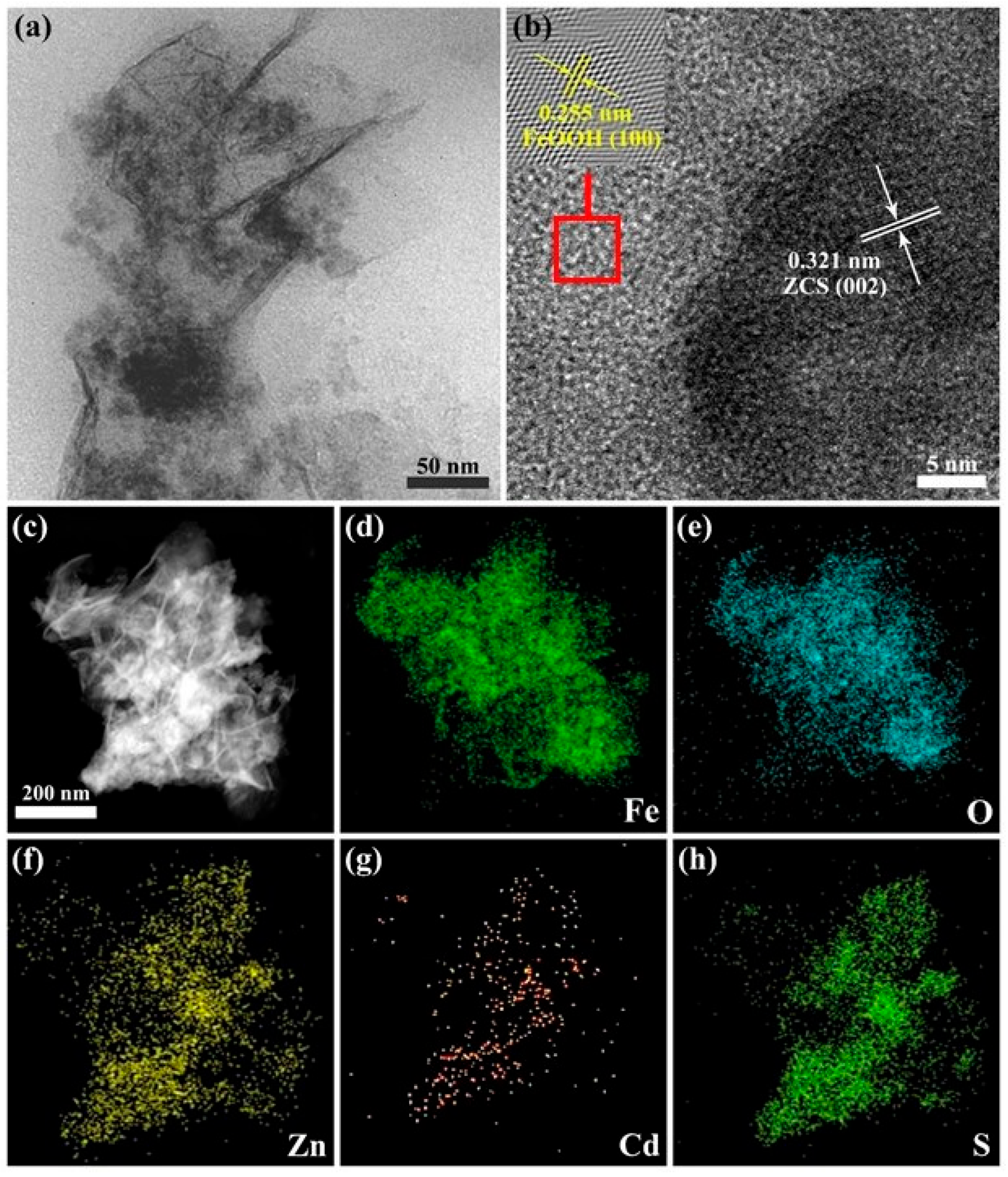 Molecules 29 02913 g002
