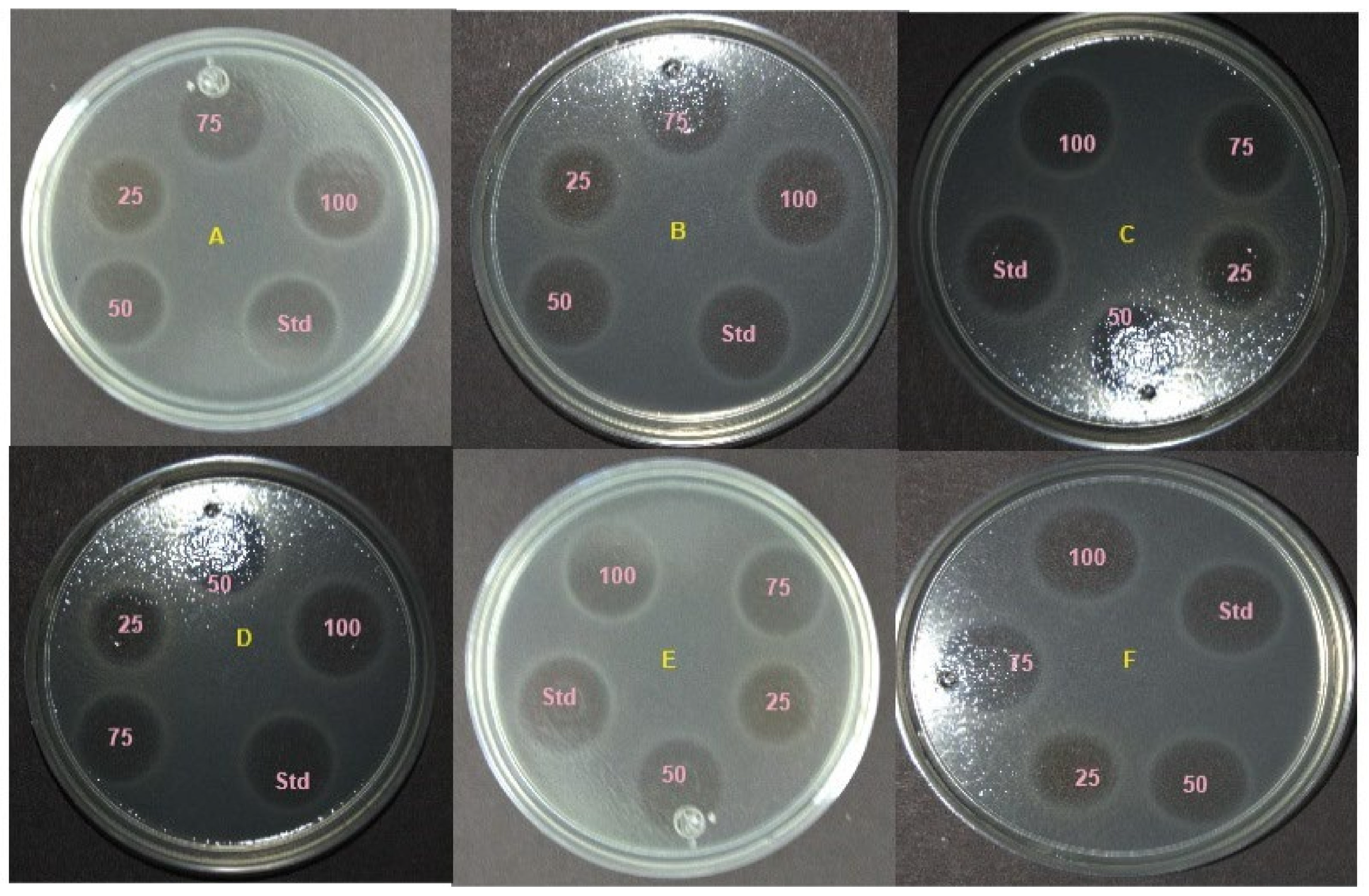 Molecules 29 02914 g006a