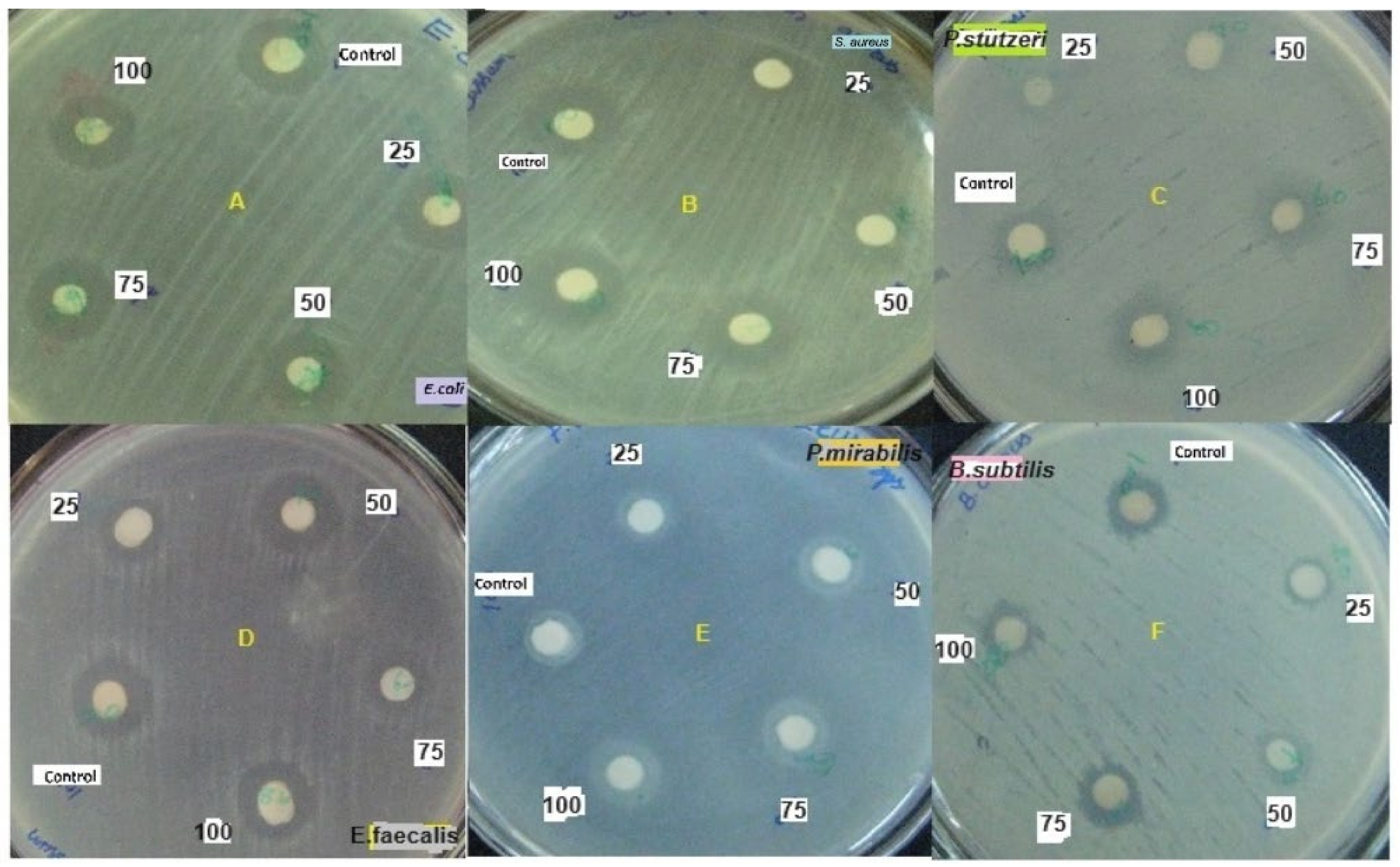 Molecules 29 02914 g007a