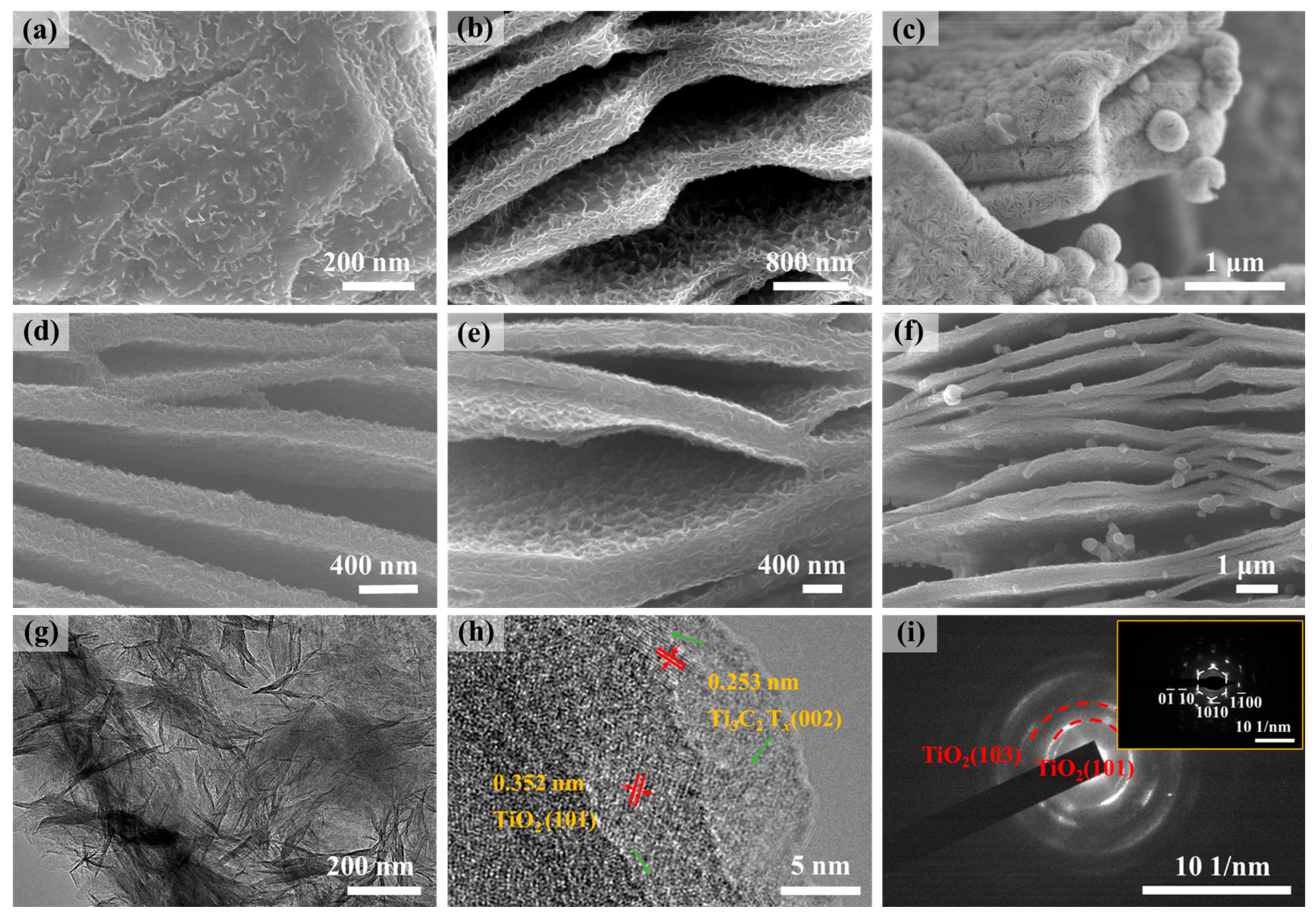 Molecules 29 02915 g001
