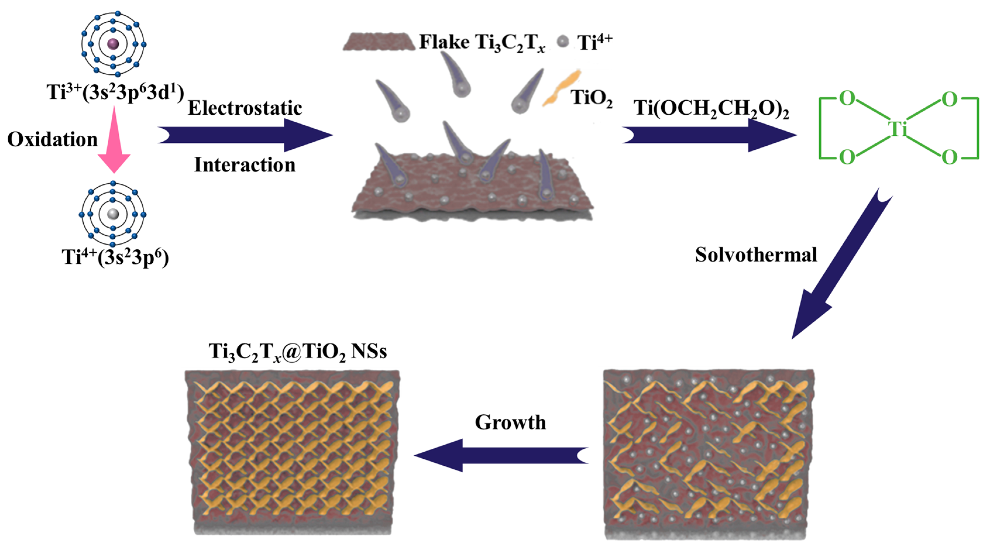 Molecules 29 02915 g003