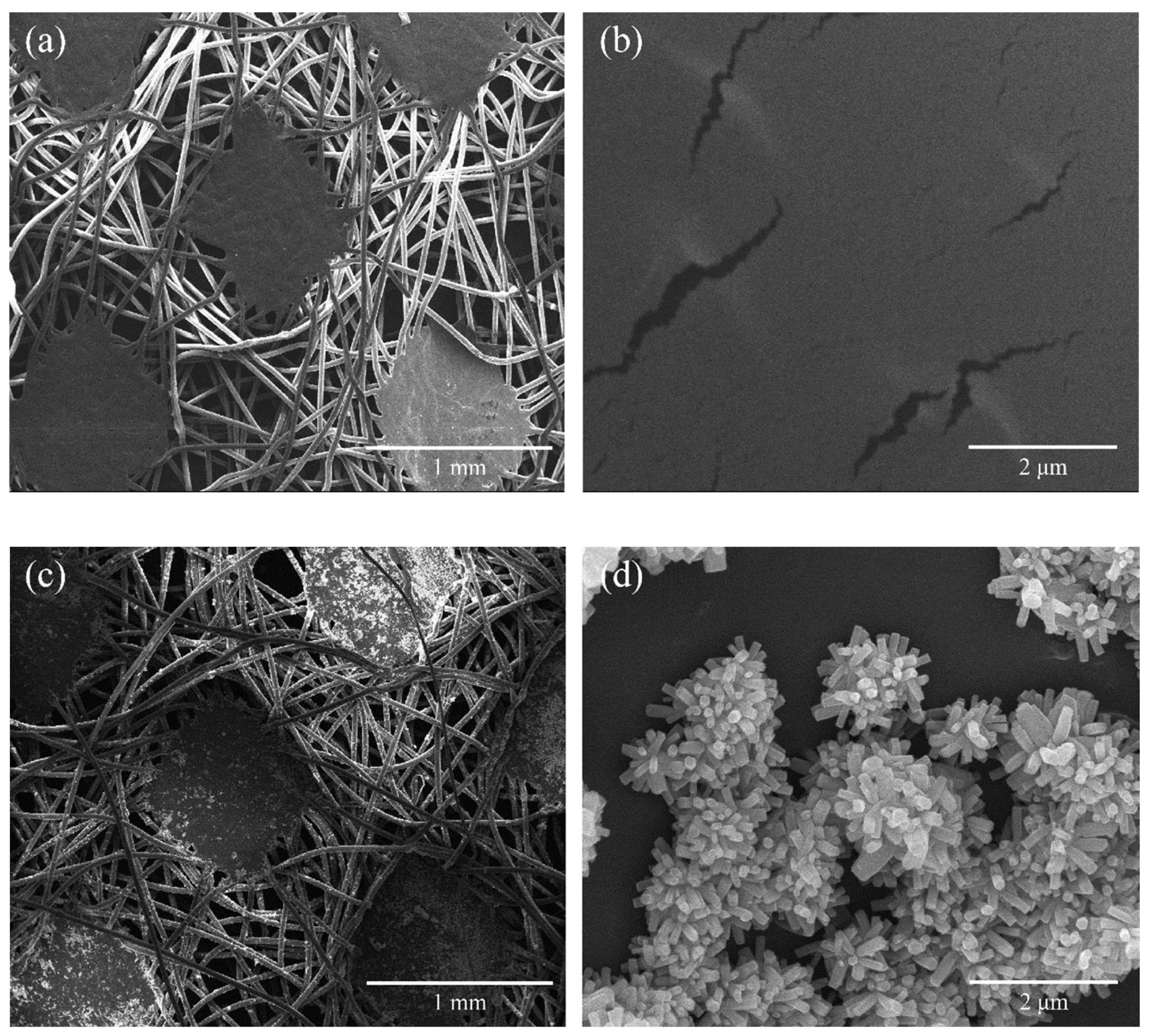 Molecules 29 02916 g001 Molecules 29 02916 g001