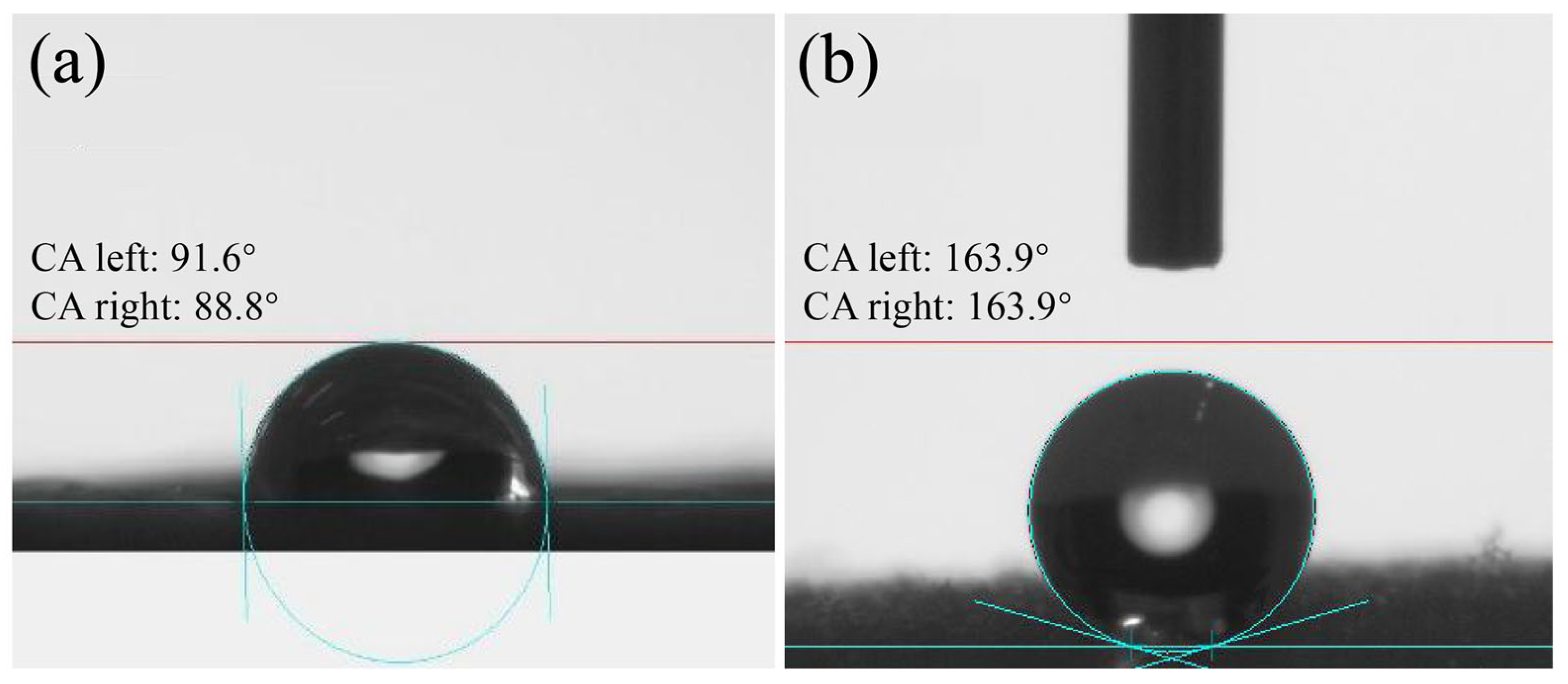Molecules 29 02916 g003 Molecules 29 02916 g003