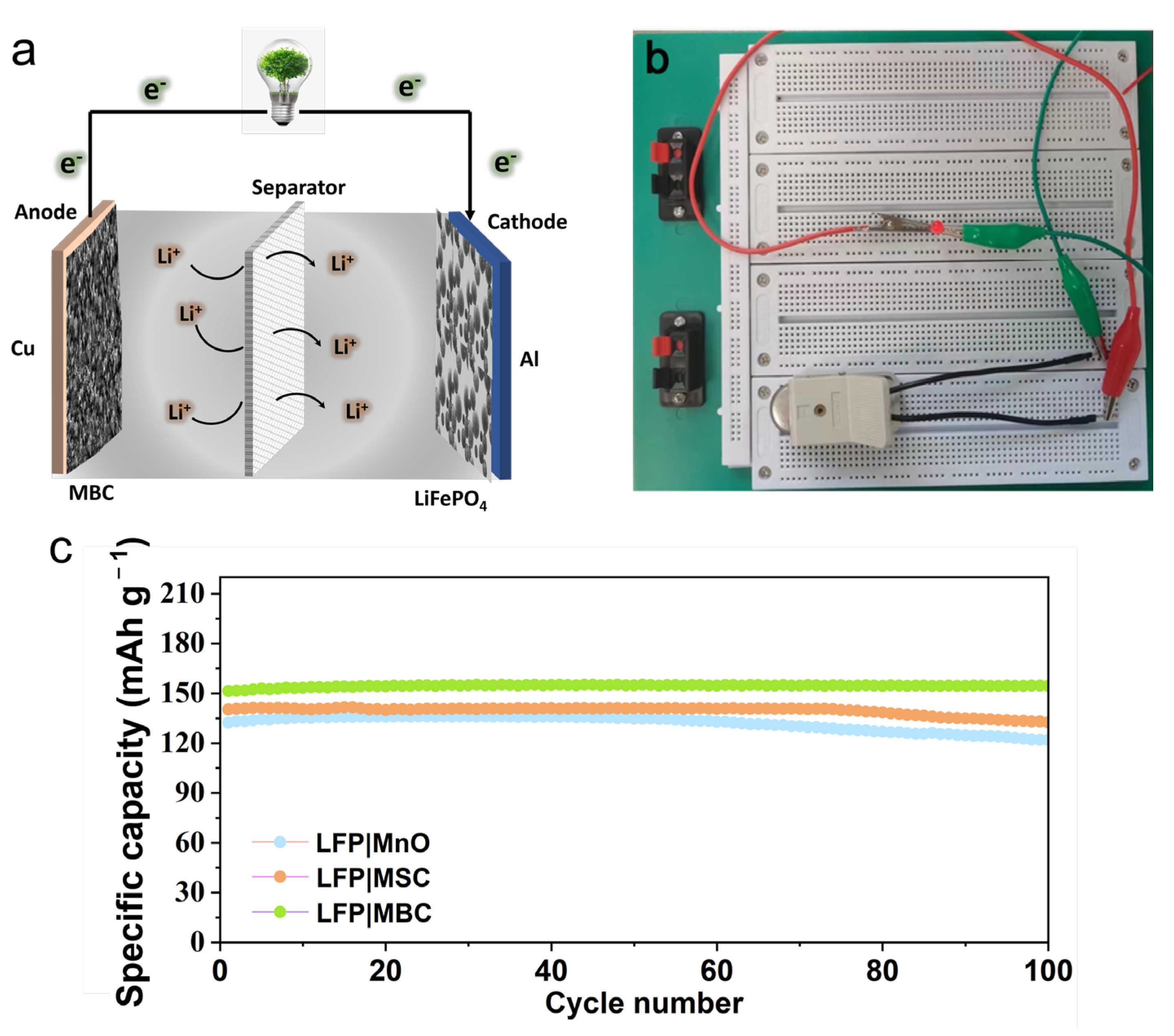 Molecules 29 02939 g008