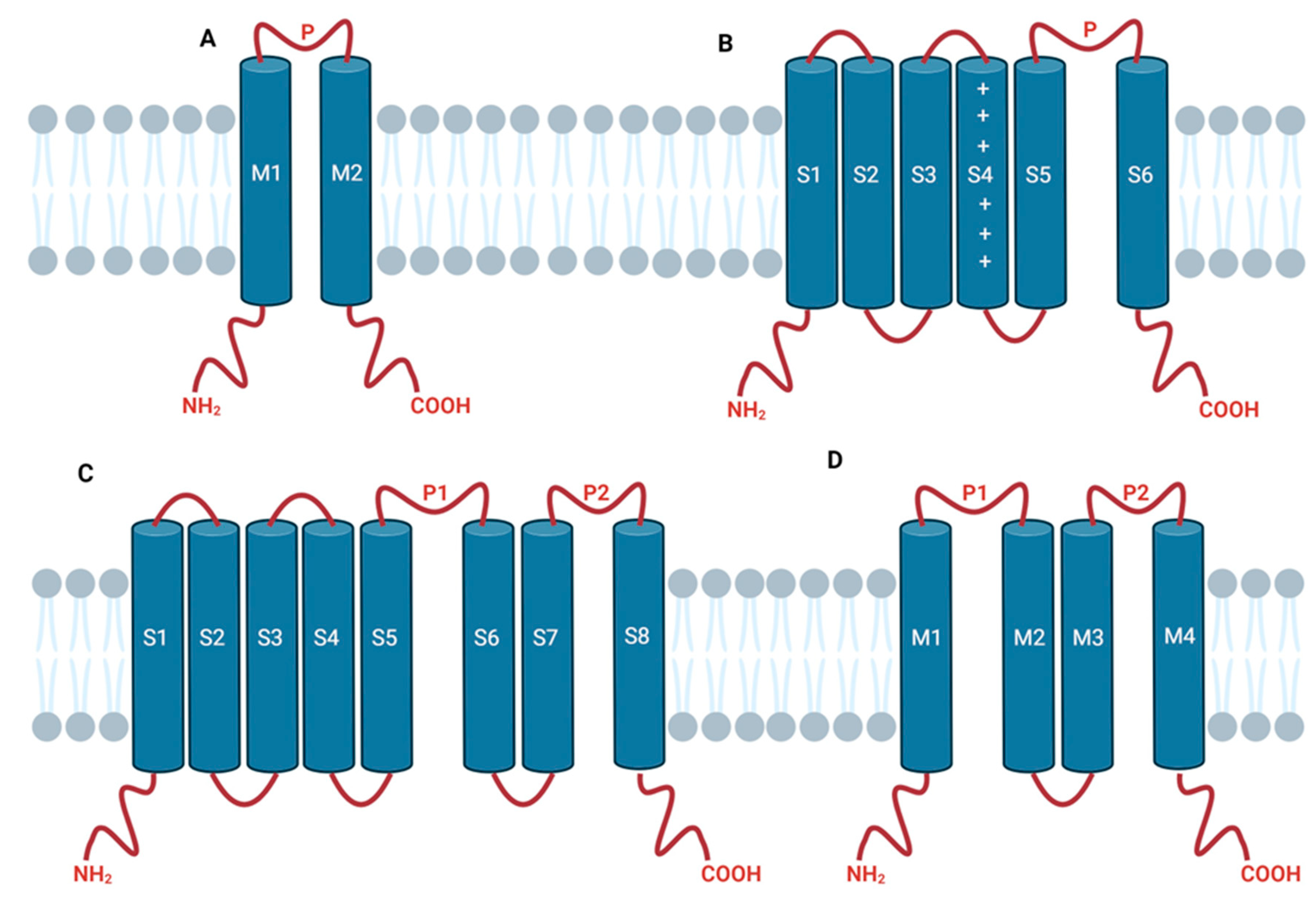 Molecules 29 02940 g002